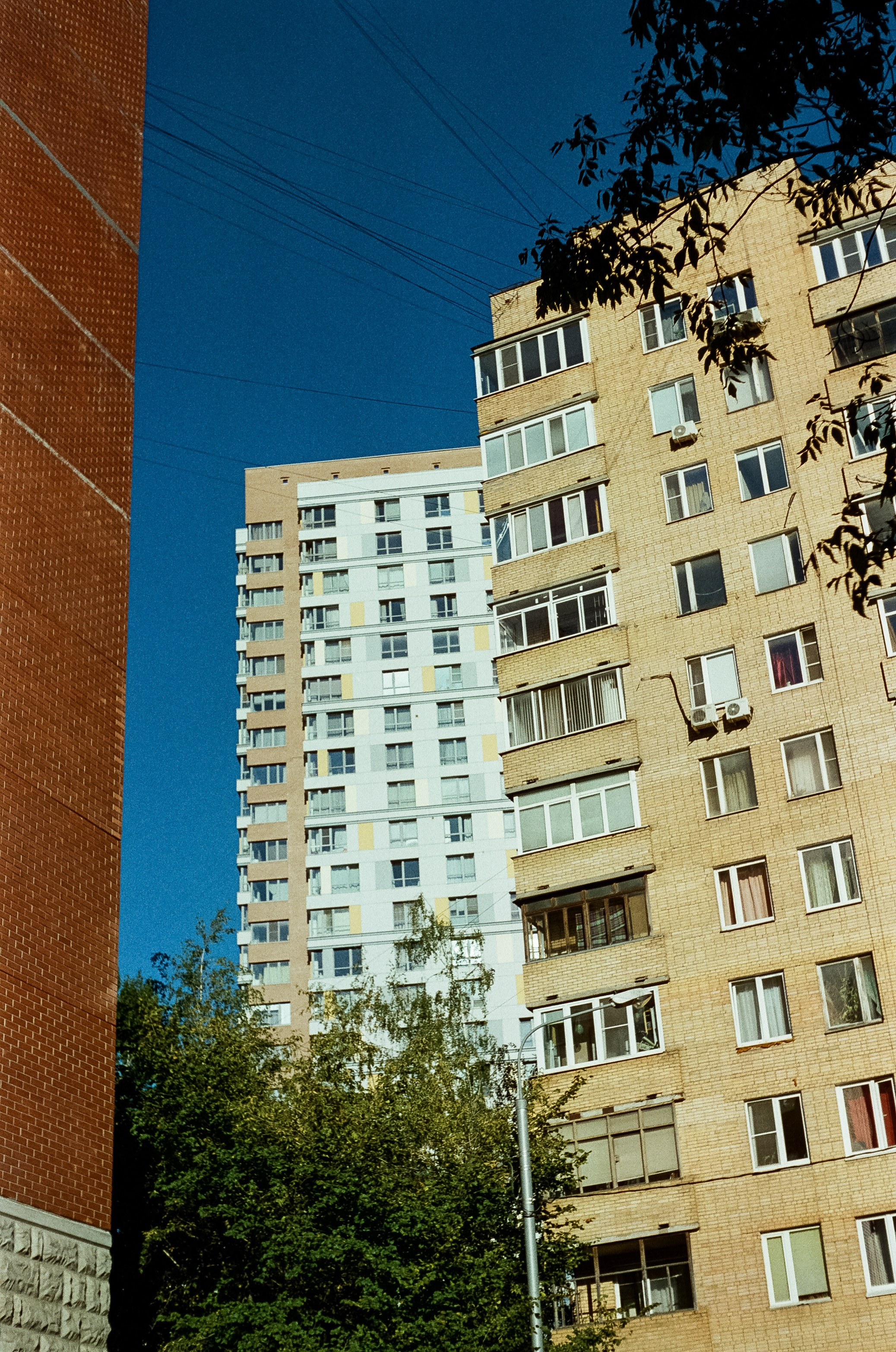 Voigtlander Vitessa / Color-Skopar 50 mm f/3.5 / Kodak Gold 100 (просрочка)