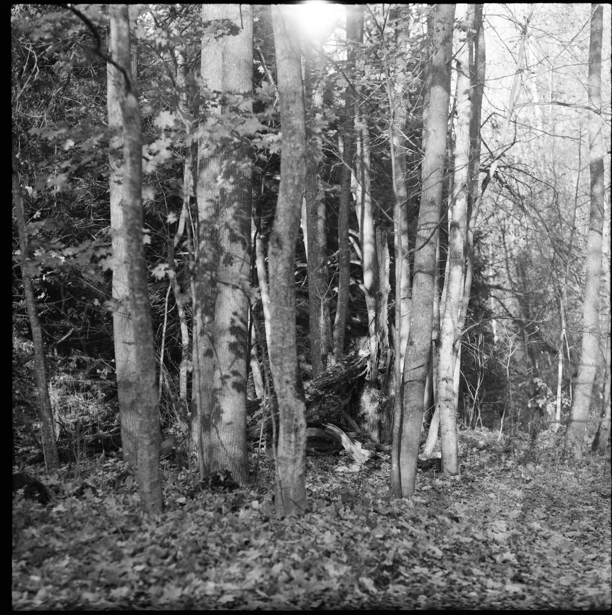 Усадьбы Яропольца. Paintings by the artist Sergey Ratchin