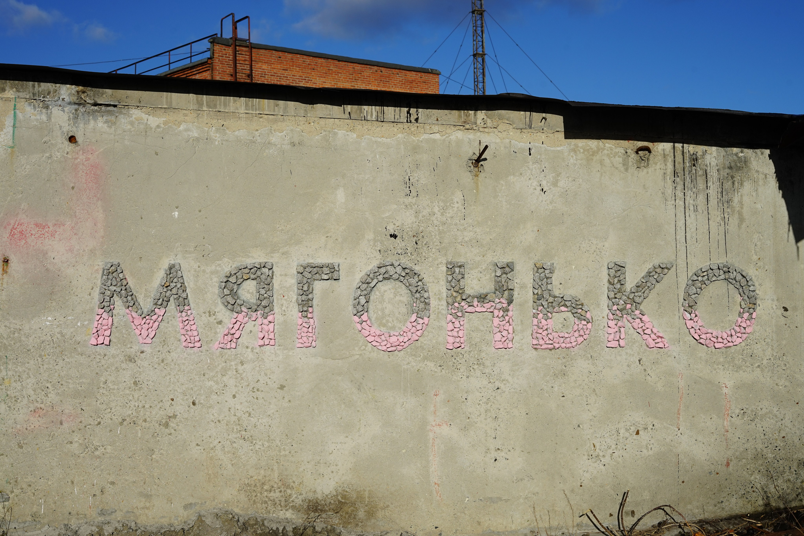 Мягонько Анна Снегина. Artist Anna Snegina Художница Анна Снегина