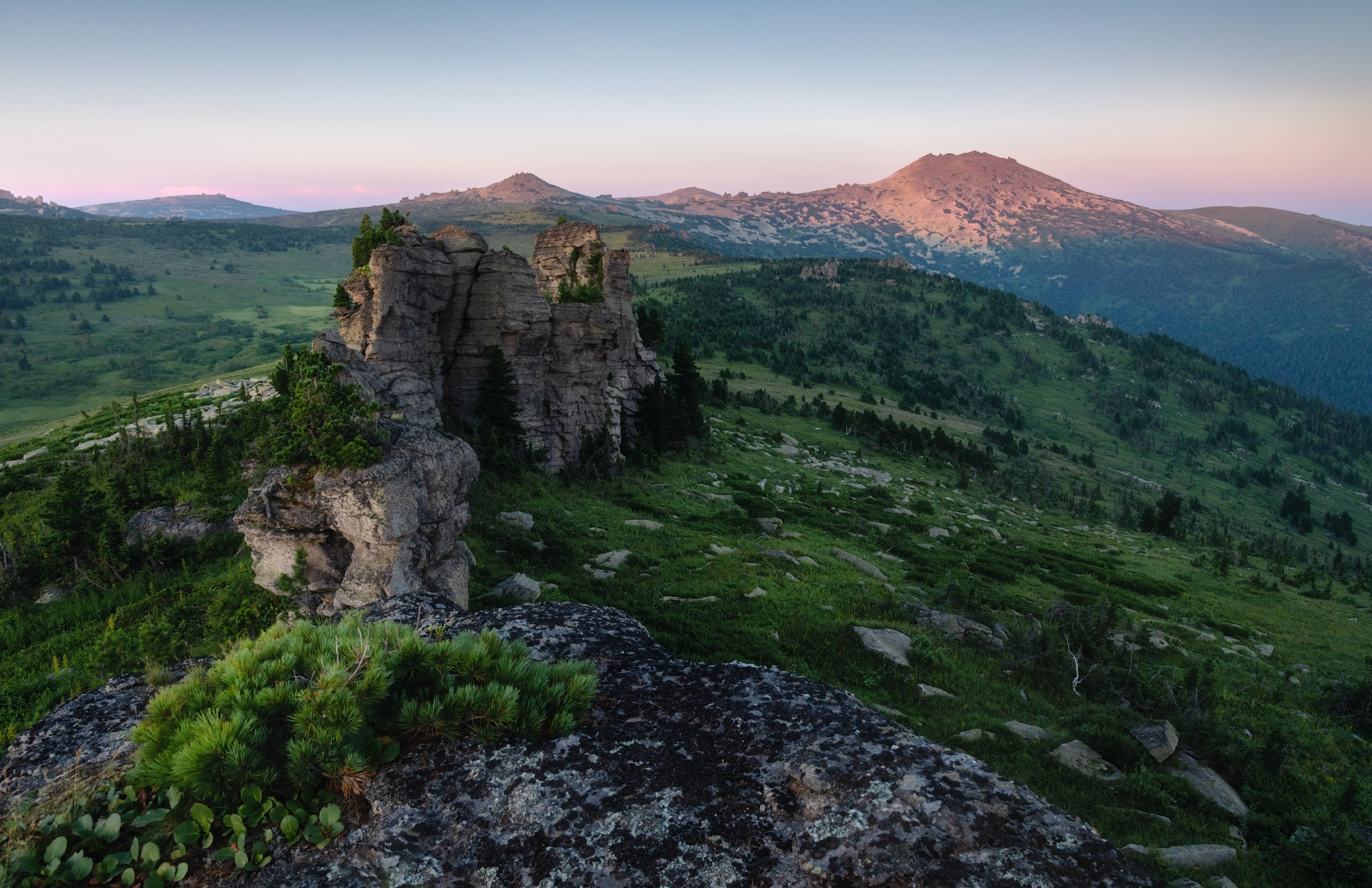 На грани сумерек. Тигирекский заповедник, Краснощёковский район, июль 2024