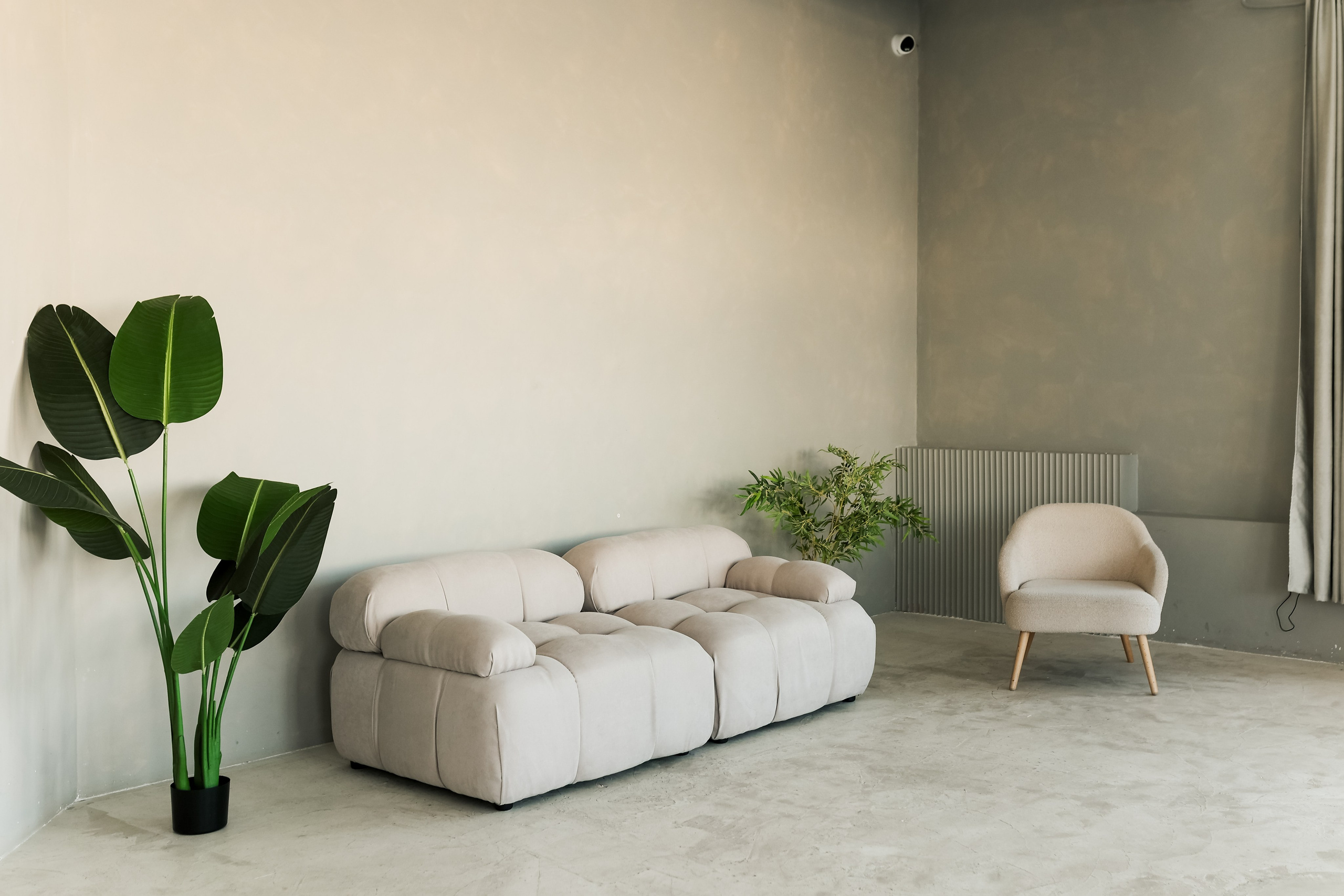 Циклорама. Фотостудия Фотодом. Якутск