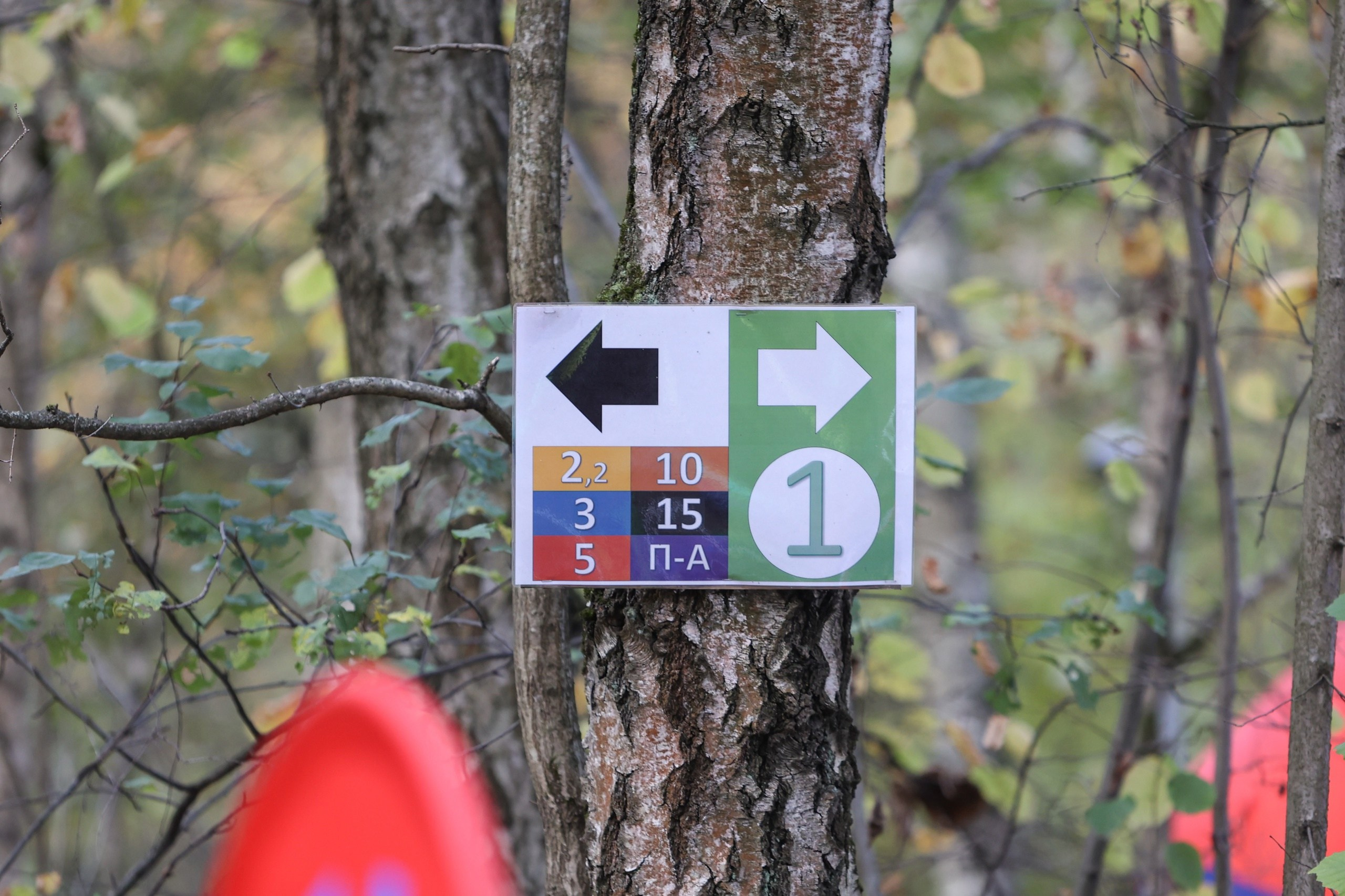 Гонки Четырех — Races Of Four. Выпускные альбомы и школьный фотограф в Подольске, Троицке, Щербинке, Москве и Московской области
