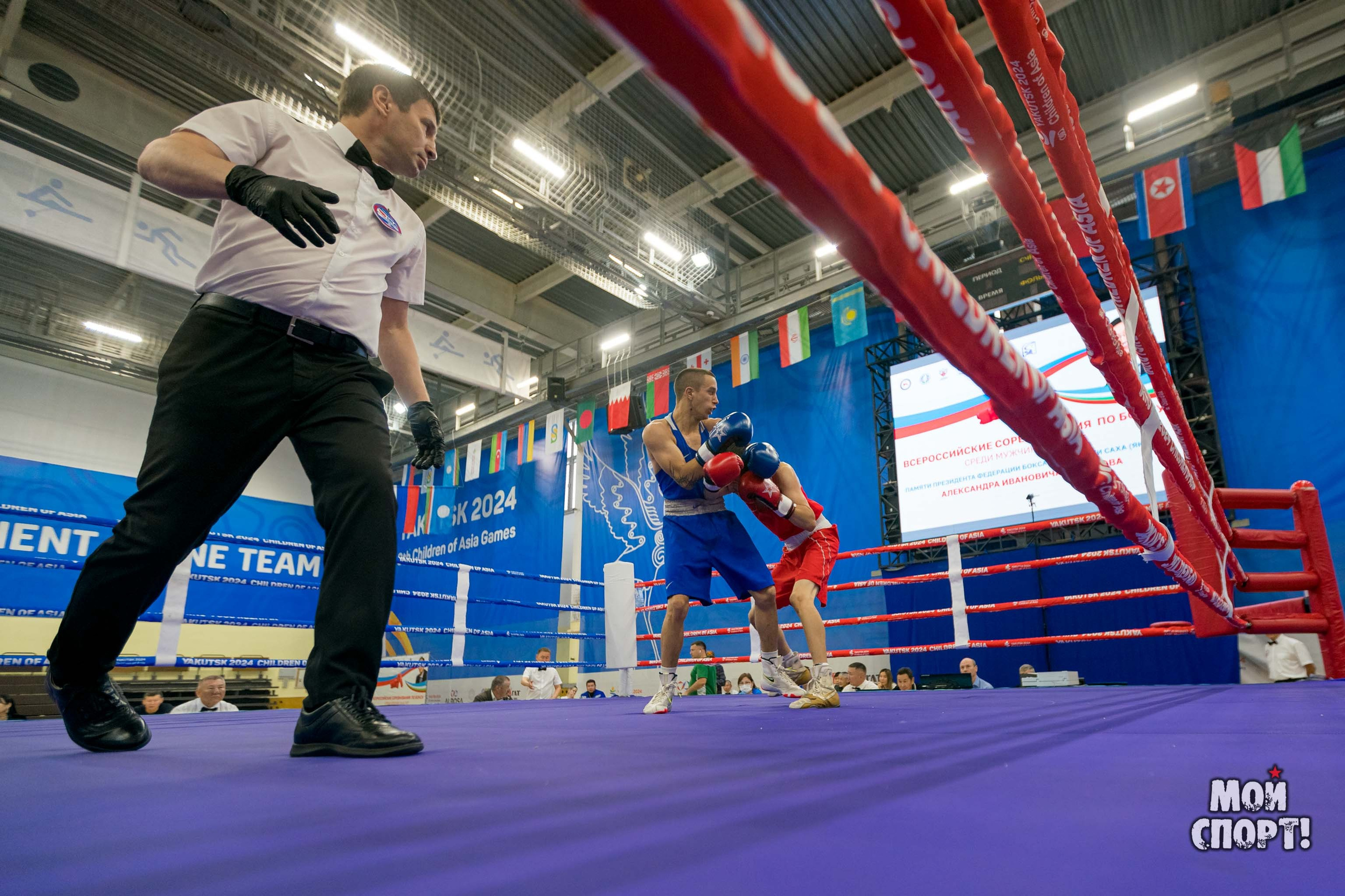 Всероссийский турнир по боксу памяти А. И. Федотова. Студия «Мой Спорт!» — все о спорте в Якутии