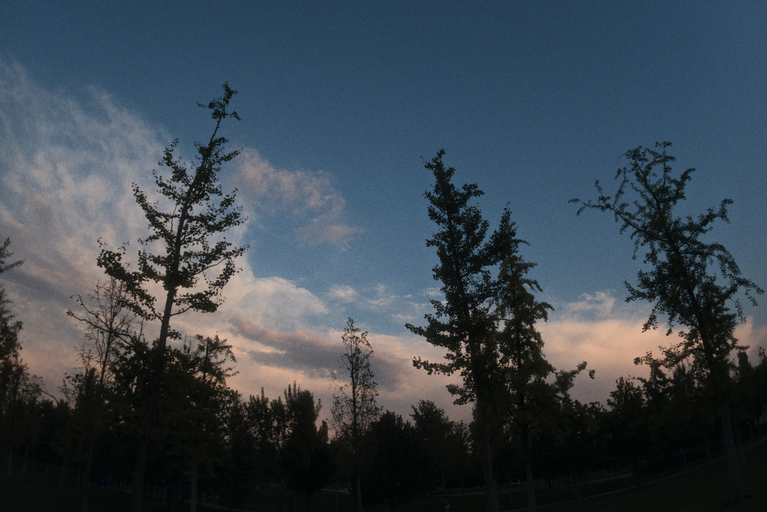 OM-System Tough-7 / U19 FC Krasnodar — Rostov. Фотограф Юрин Евгений