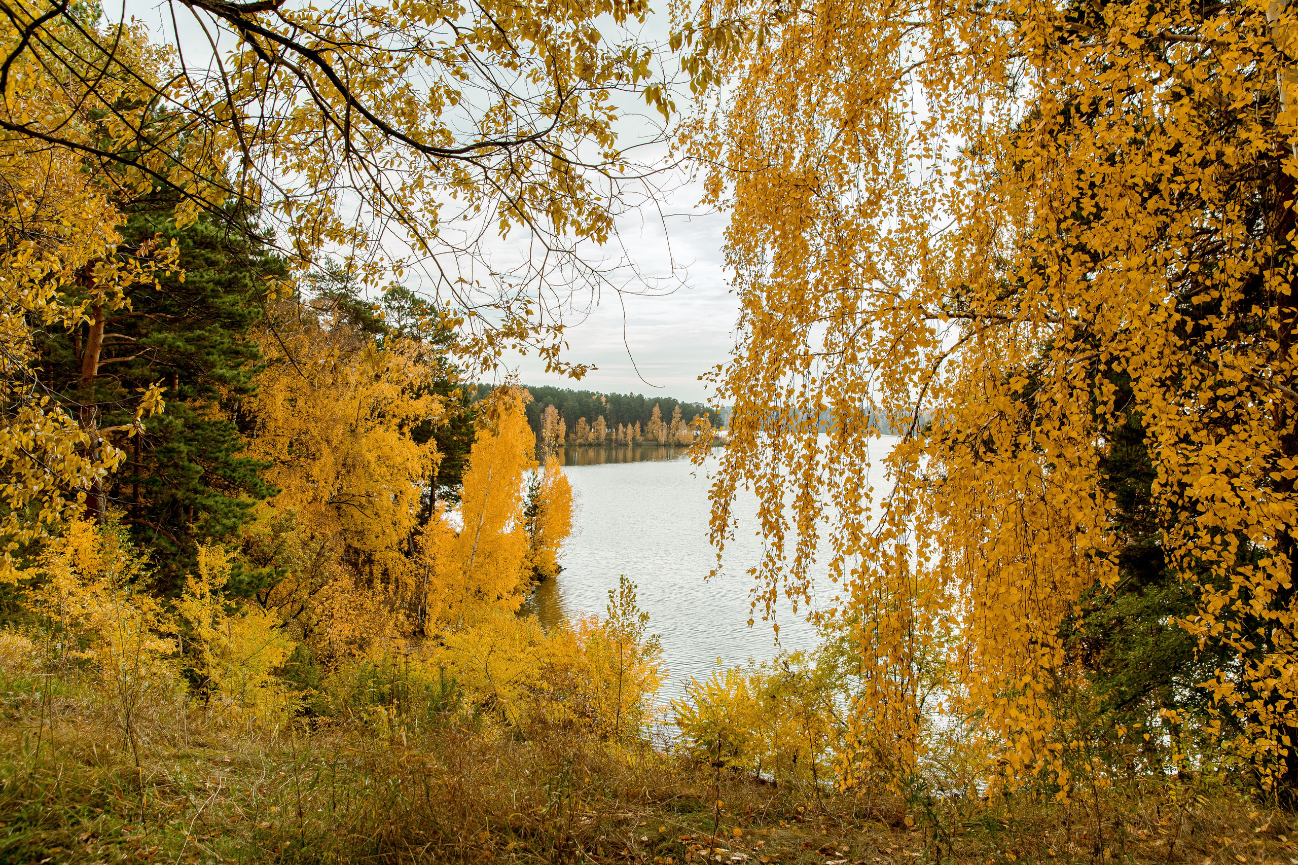 Осень в парке. Семейный и детский фотограф в Железногорске Саламахо Ольга