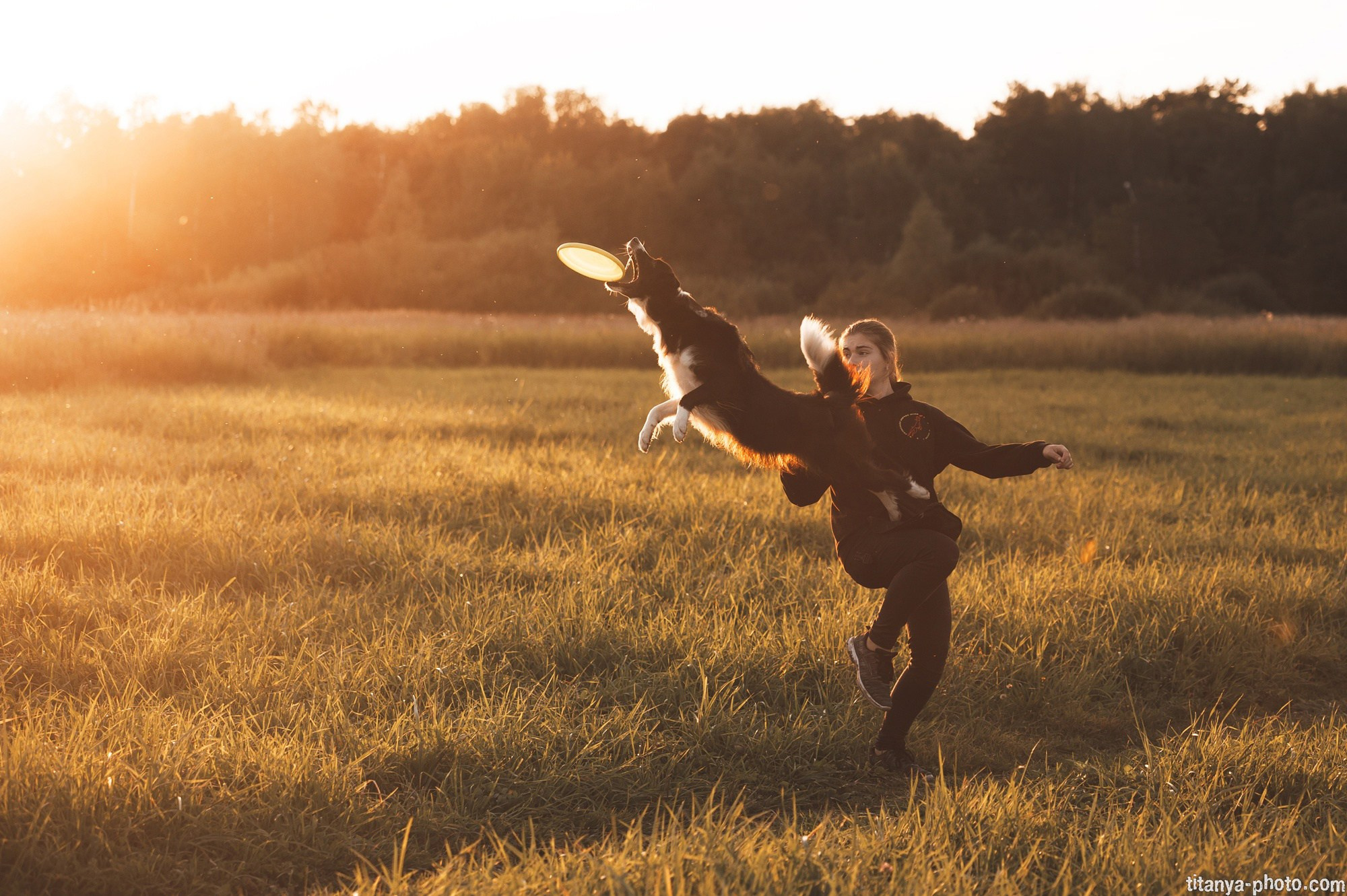 Фотограф собак, фотограф-анималист Аня Титова (Titanya). Москва