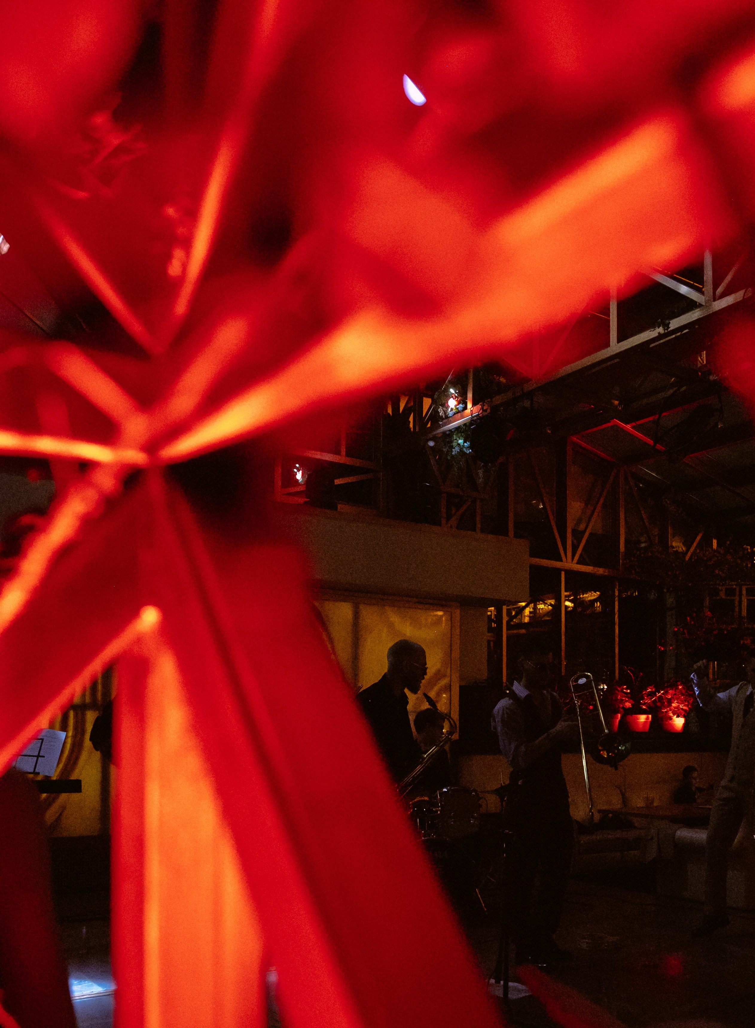 Mad Brass Band в Soho Rooms. Свадебный фотограф в Москве Элина Ларченкова. Фото, которые цепляют