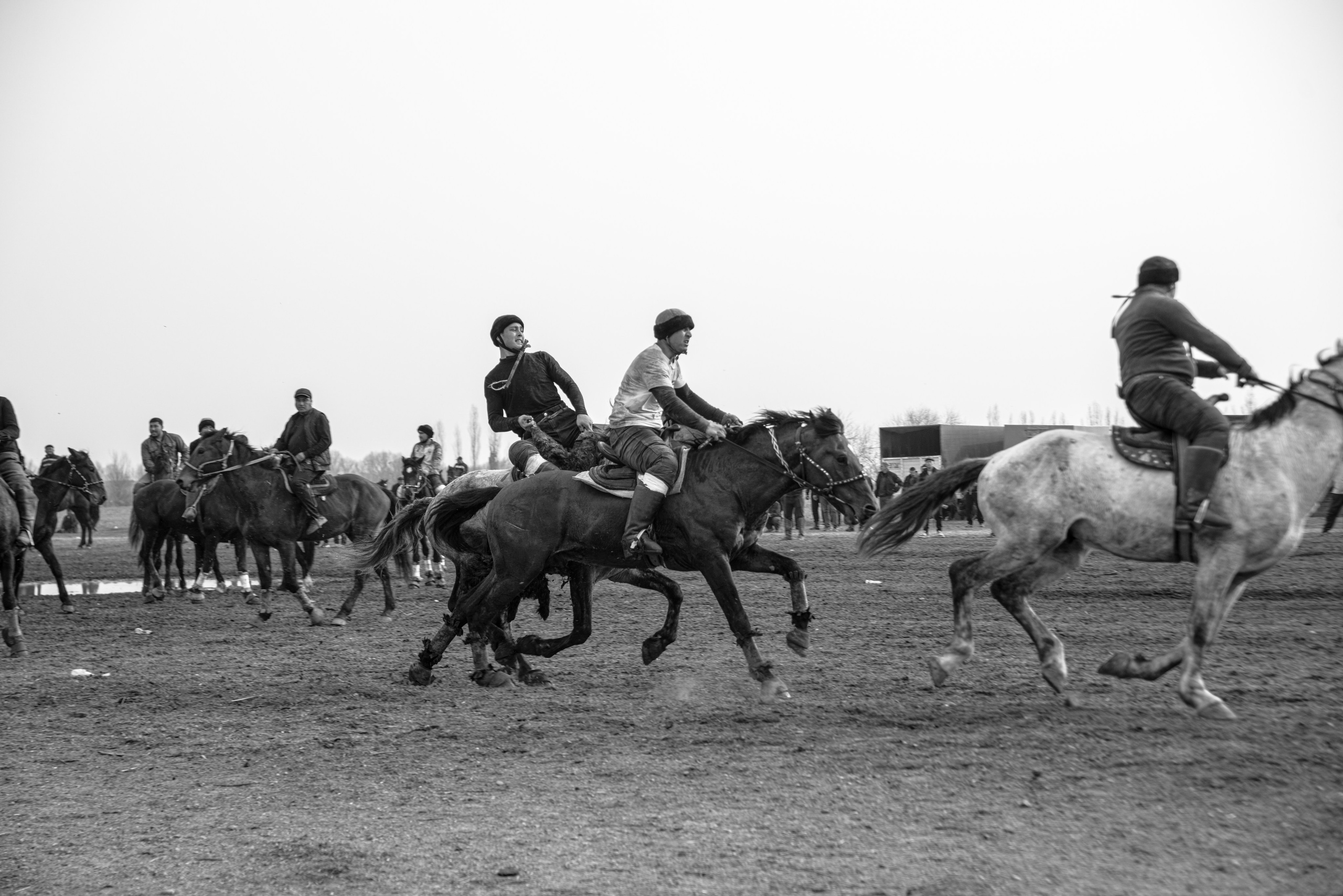 азиатский вид спорта на лошадях