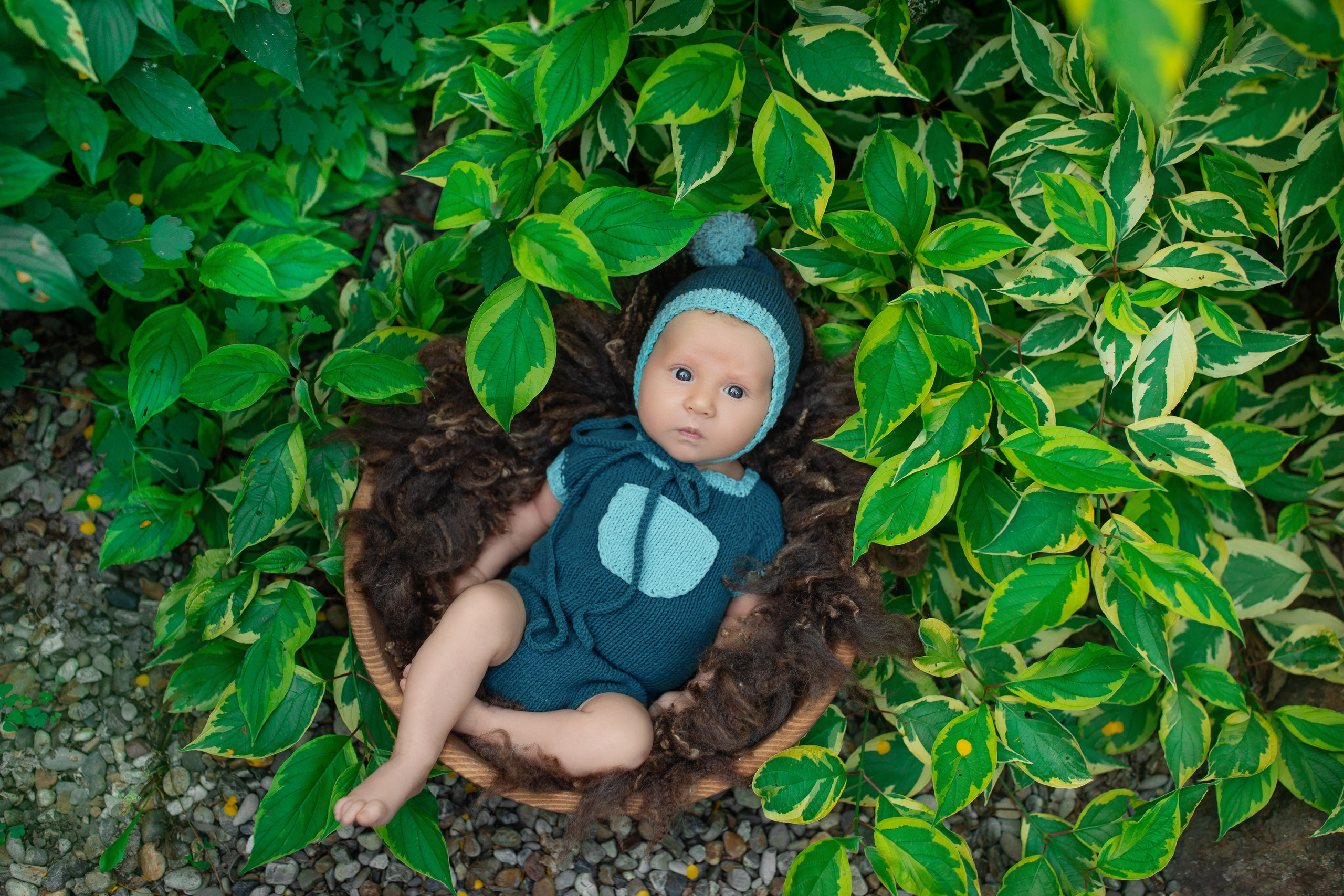 Фотограф новорожденных и беременности в Хабаровске Варвара Титаева