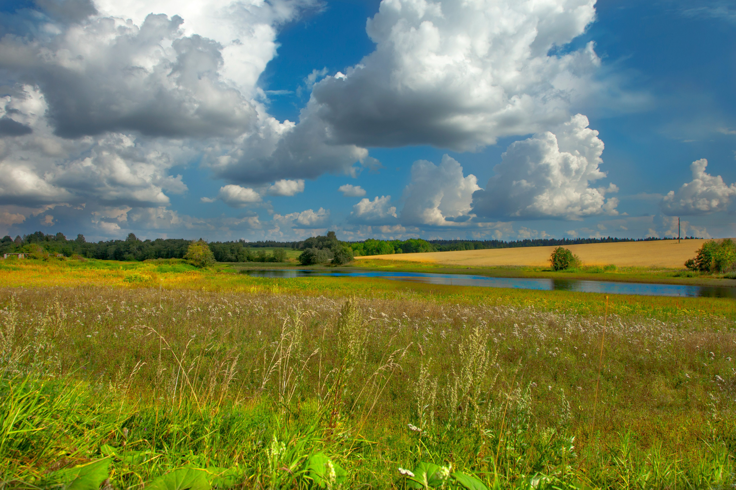 Тишина. Свадьбы, портретная, предметная съемка. Фотограф Александр К