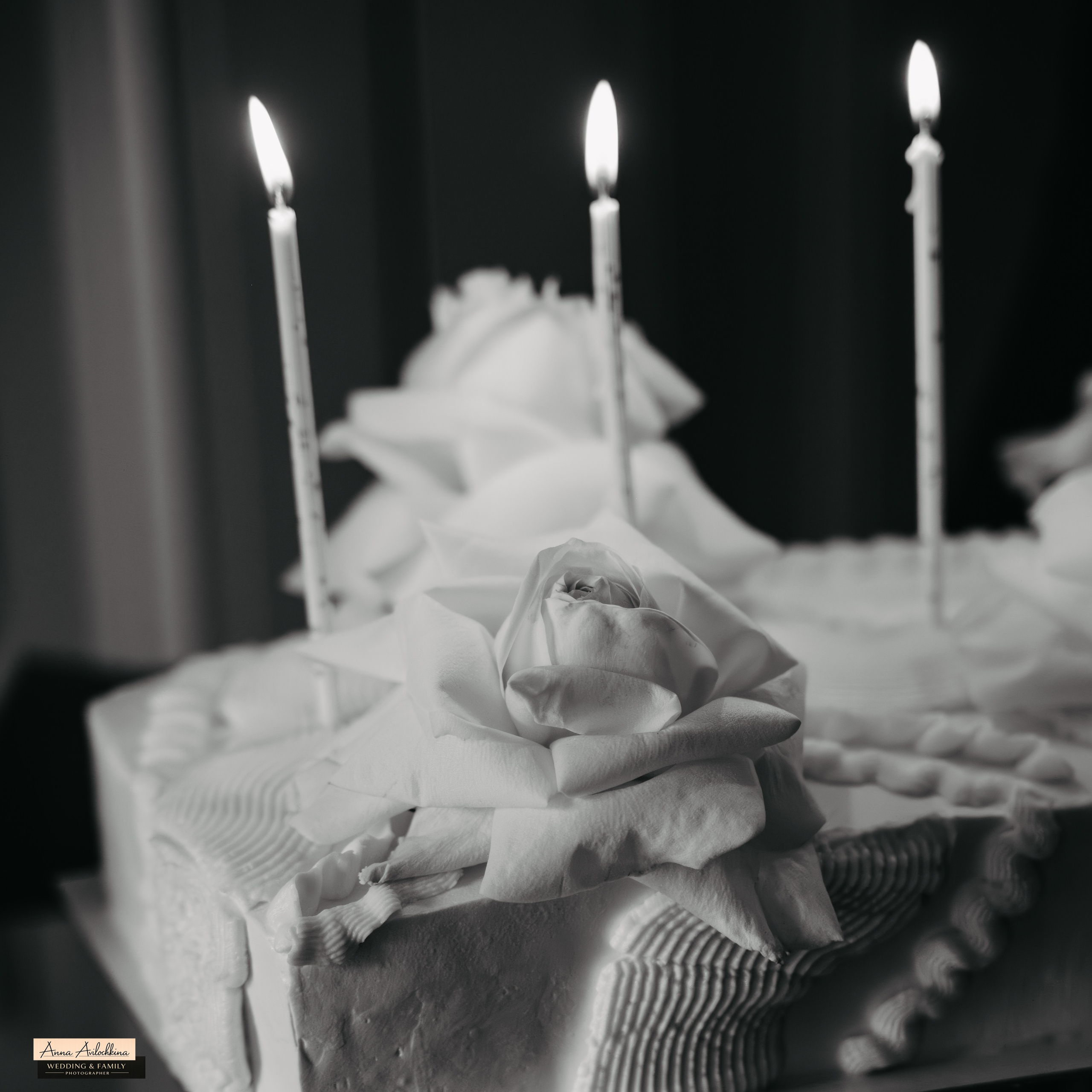 Свадебные съёмки. Семейный и свадебный фотограф в Москве и Домодедово Анна Авилочкина