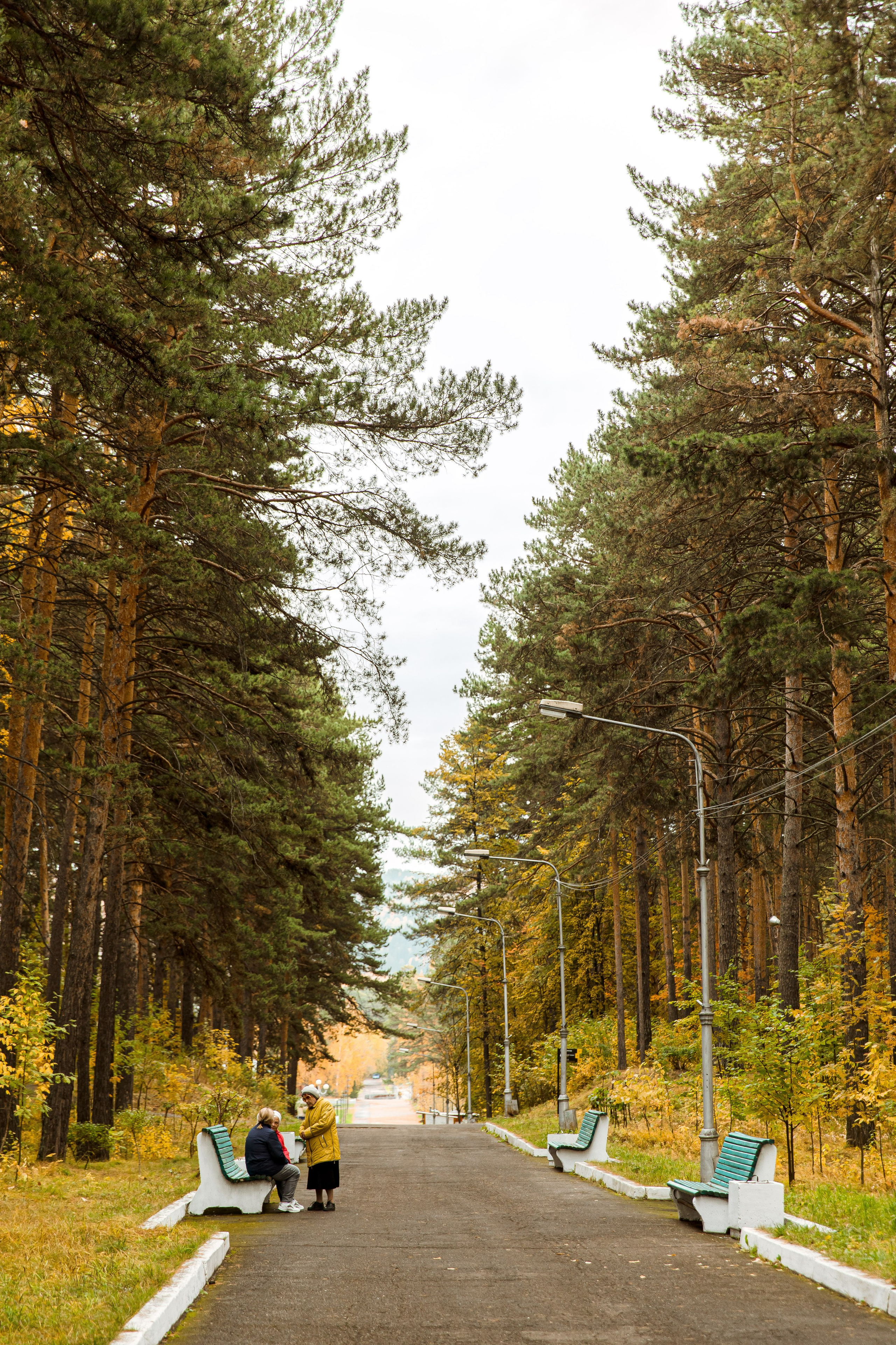 Осень в парке. Семейный и детский фотограф в Железногорске Саламахо Ольга