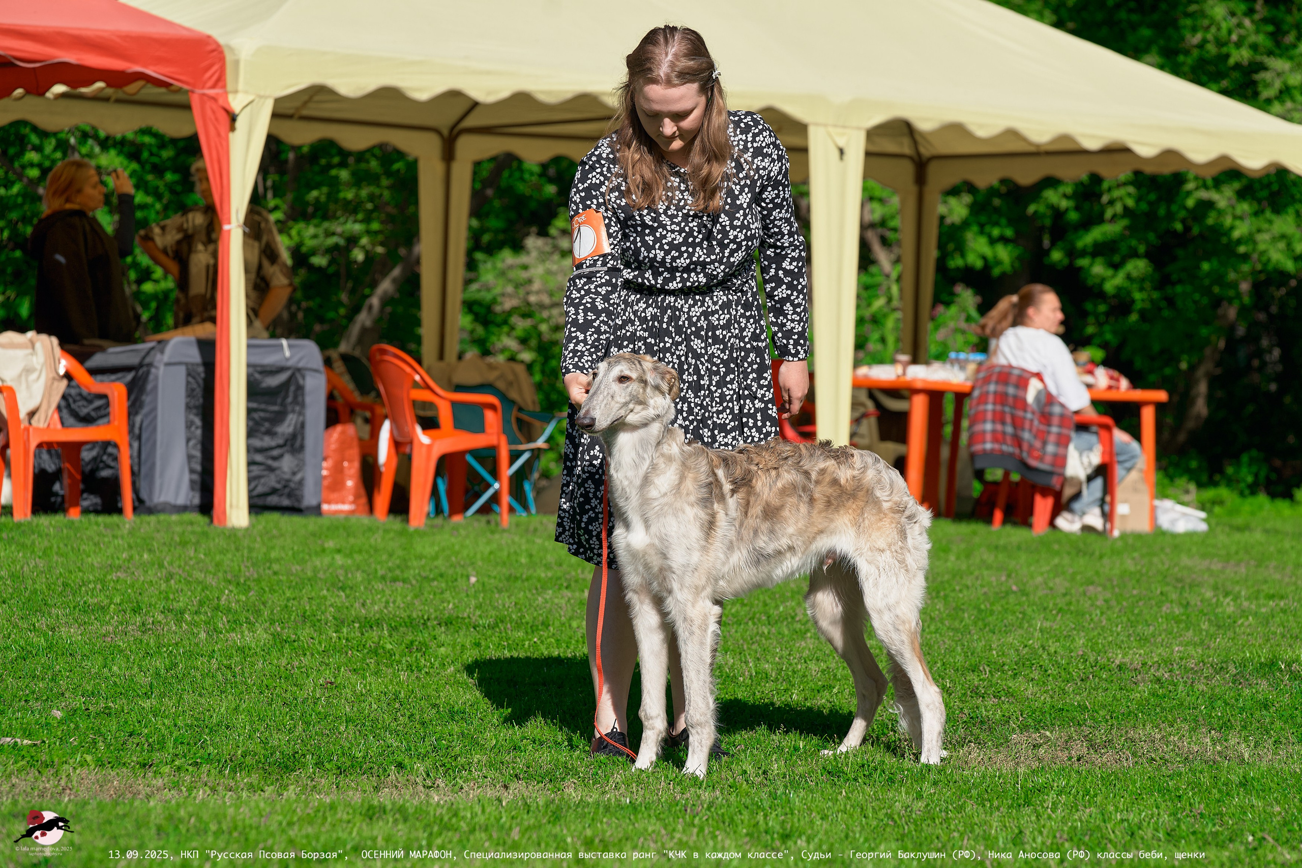 ОСЕННИЙ МАРАФОН | Специализированная выставка породы Русская Псовая Борзая ранг "КЧК в каждом классе"