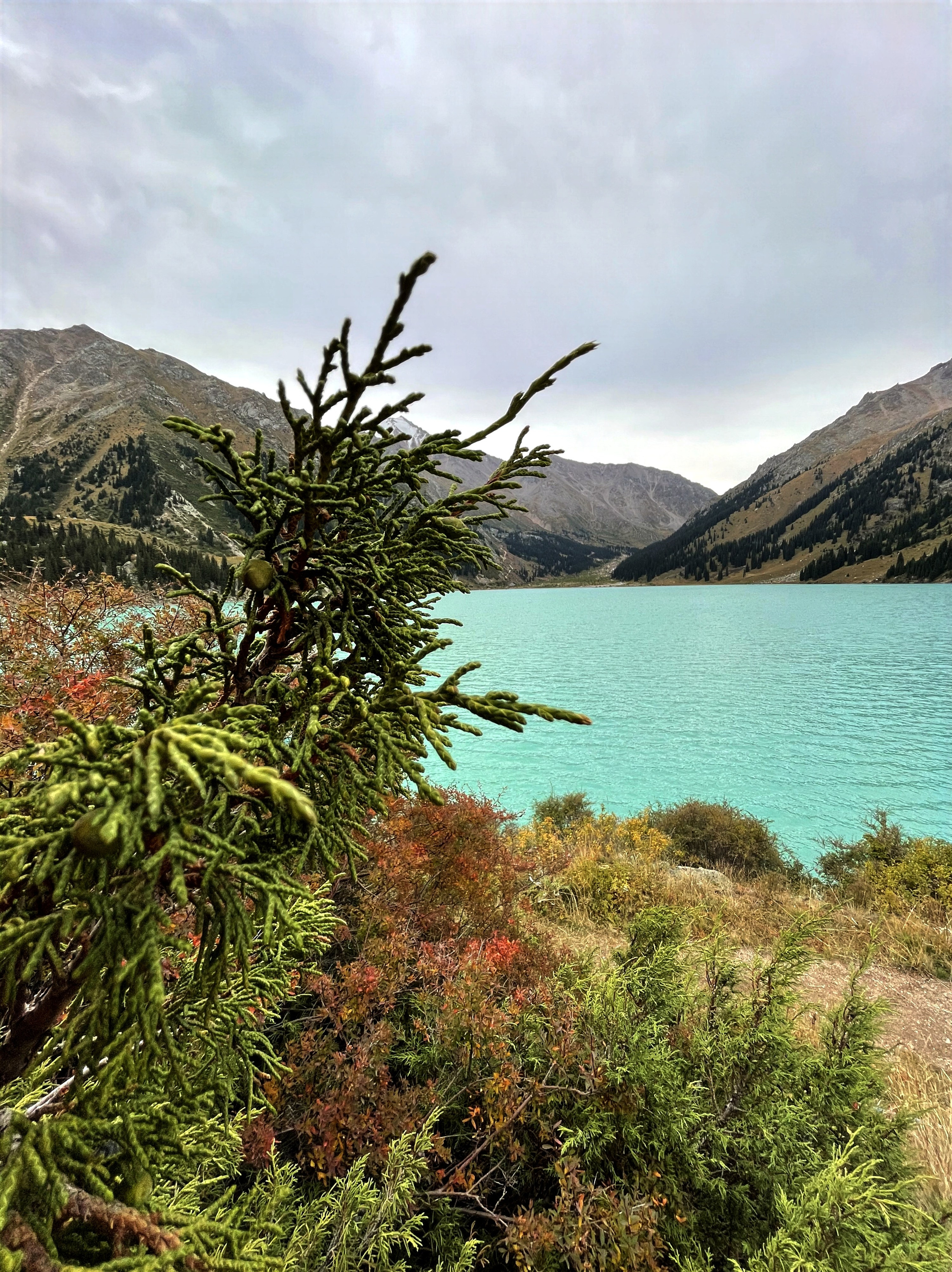 Большое Алматинское Озеро БАО рядом с Алматы, Казахстан. Где находится, как доехать, фото и видео зимой и летом