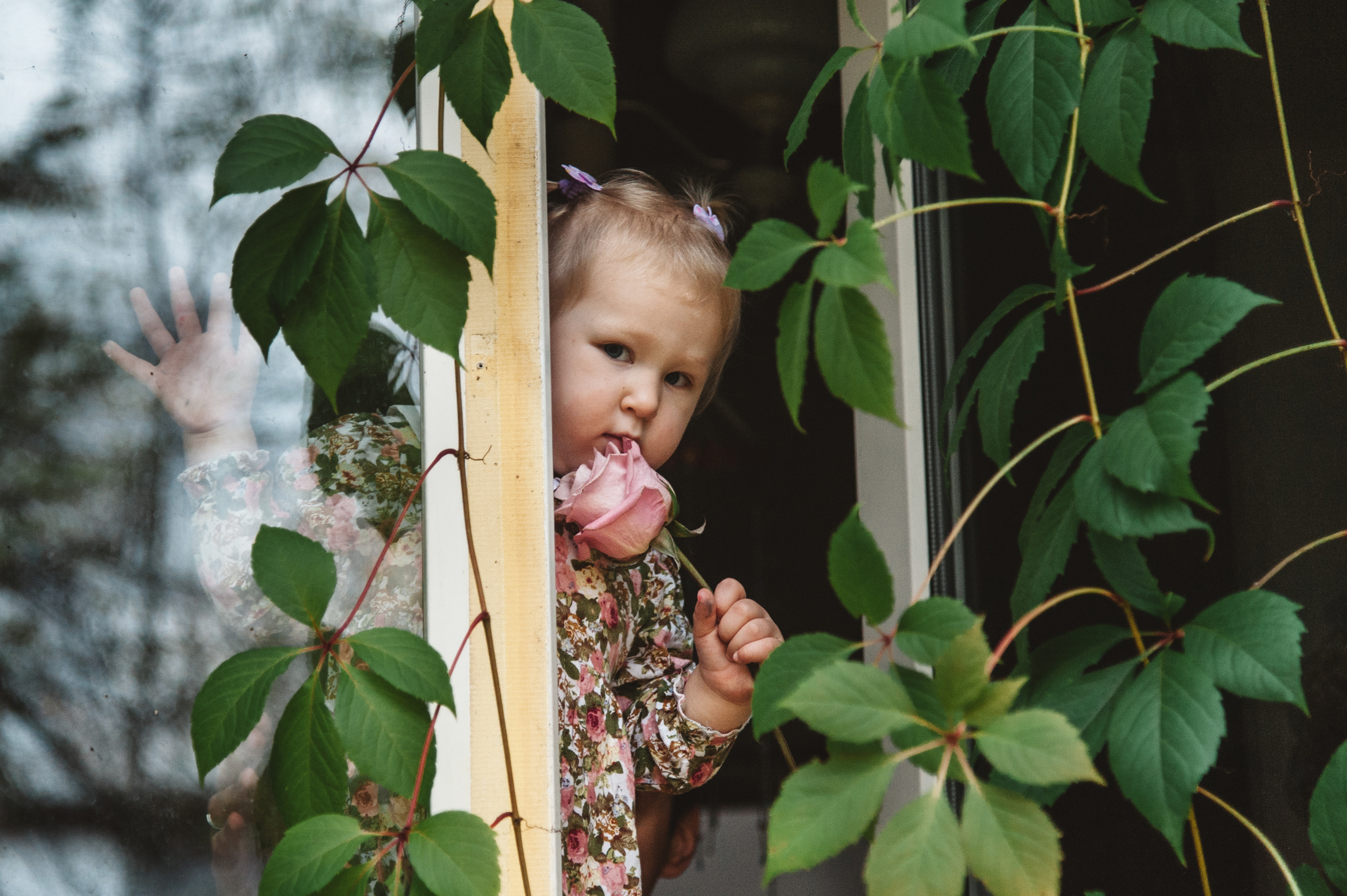 Осенняя семейная фотосессия в Звенигороде. Семейный фотограф в Москве Елена Снегирева