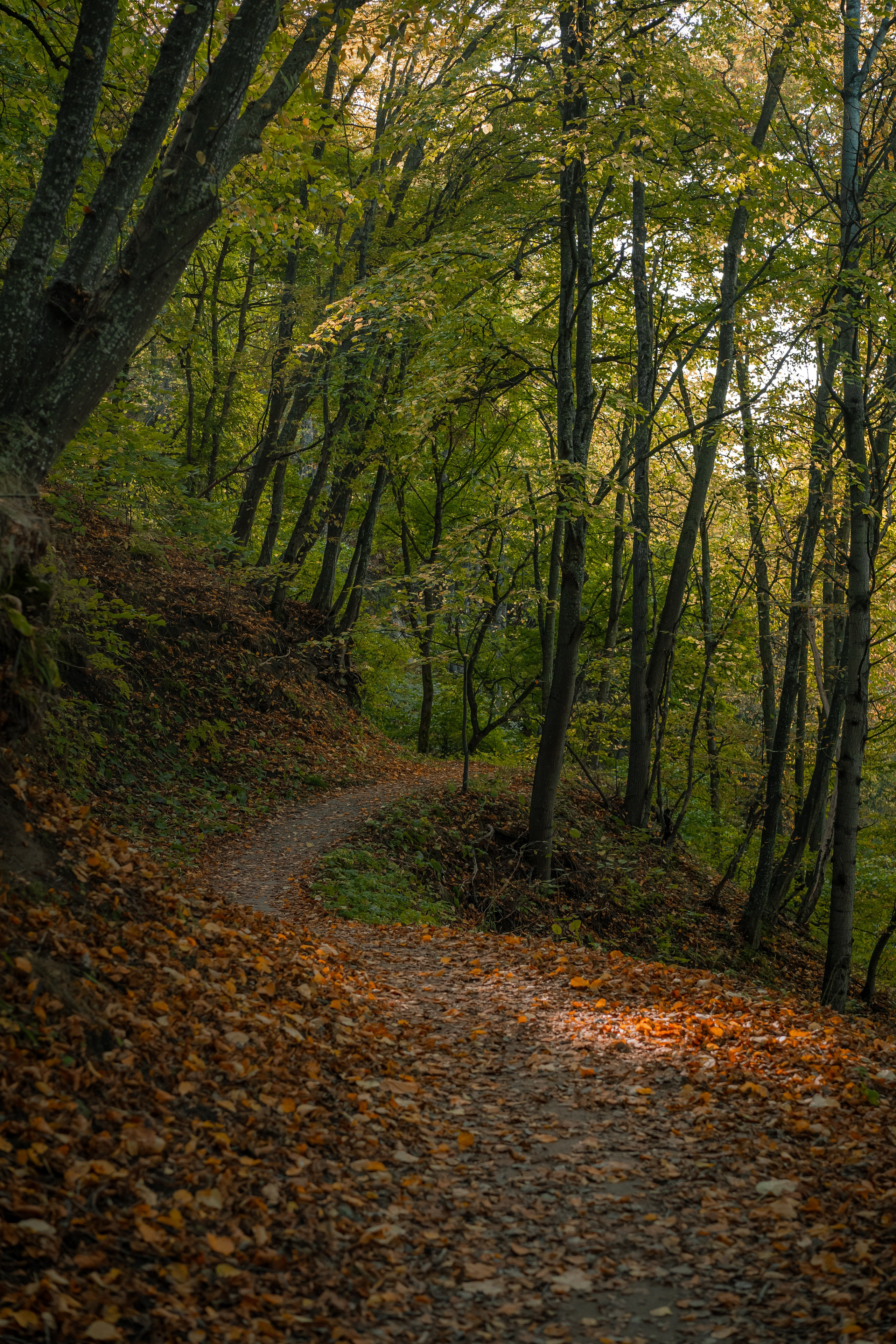 Извилистые терренкуры. Юля Дэй • Фотограф, Санкт-Петербург