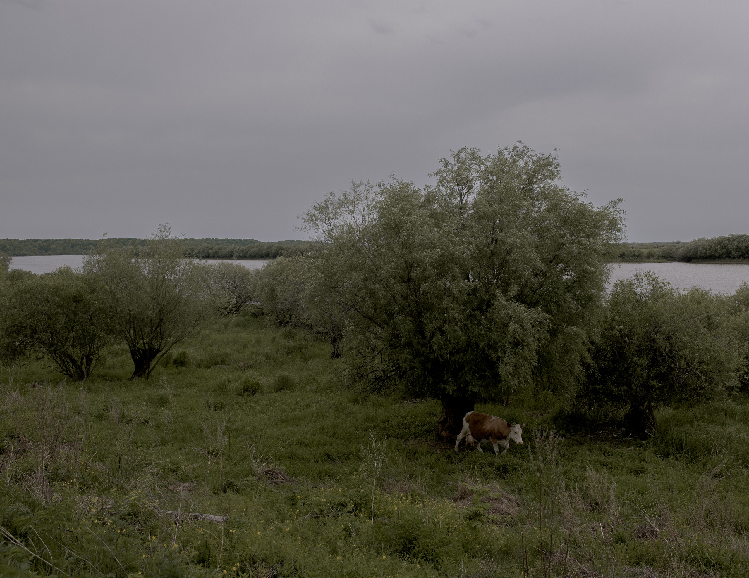 People of the Land. Lesha Pavlov