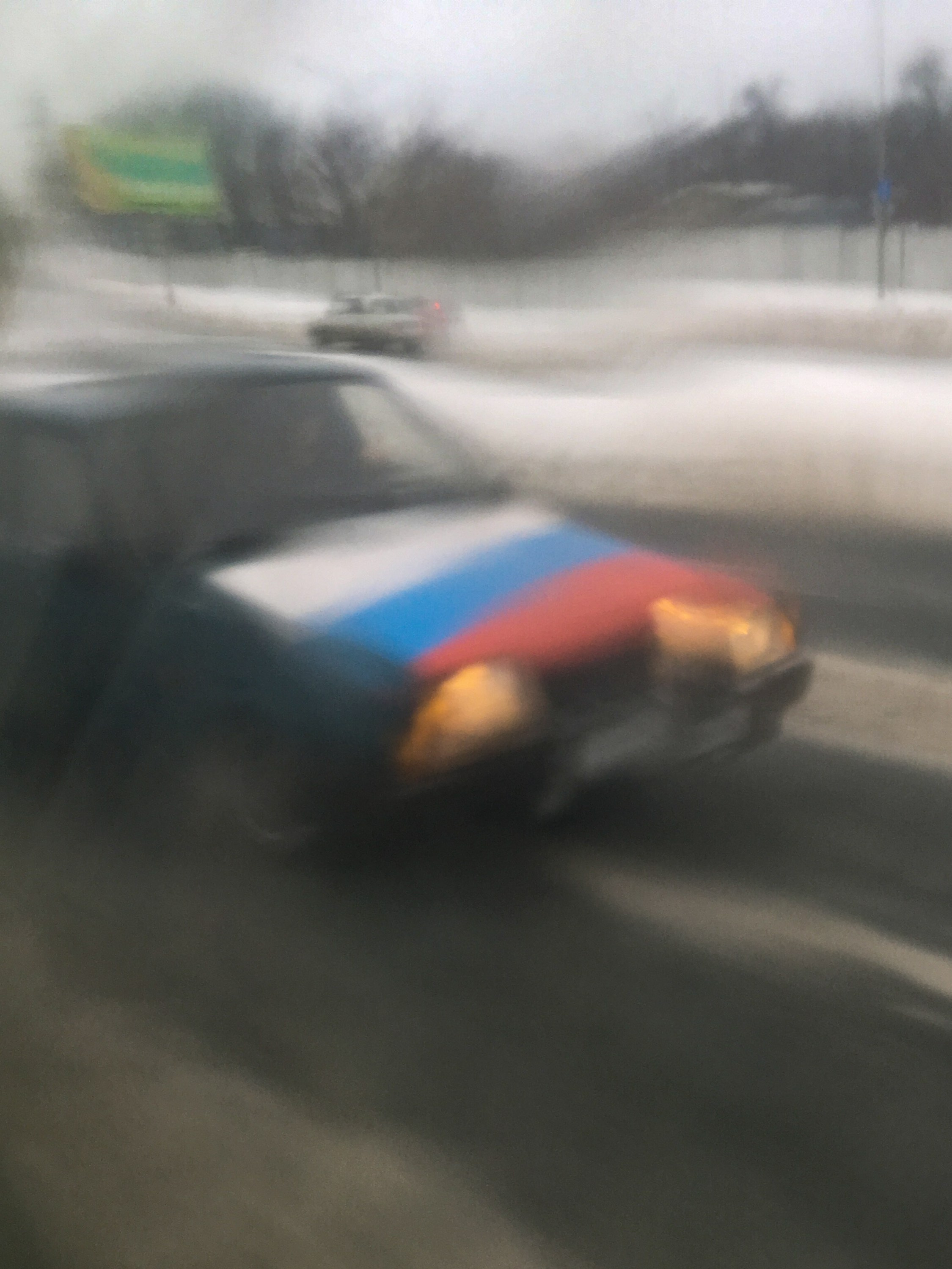 Предвзятая действительность. Дима Птицын