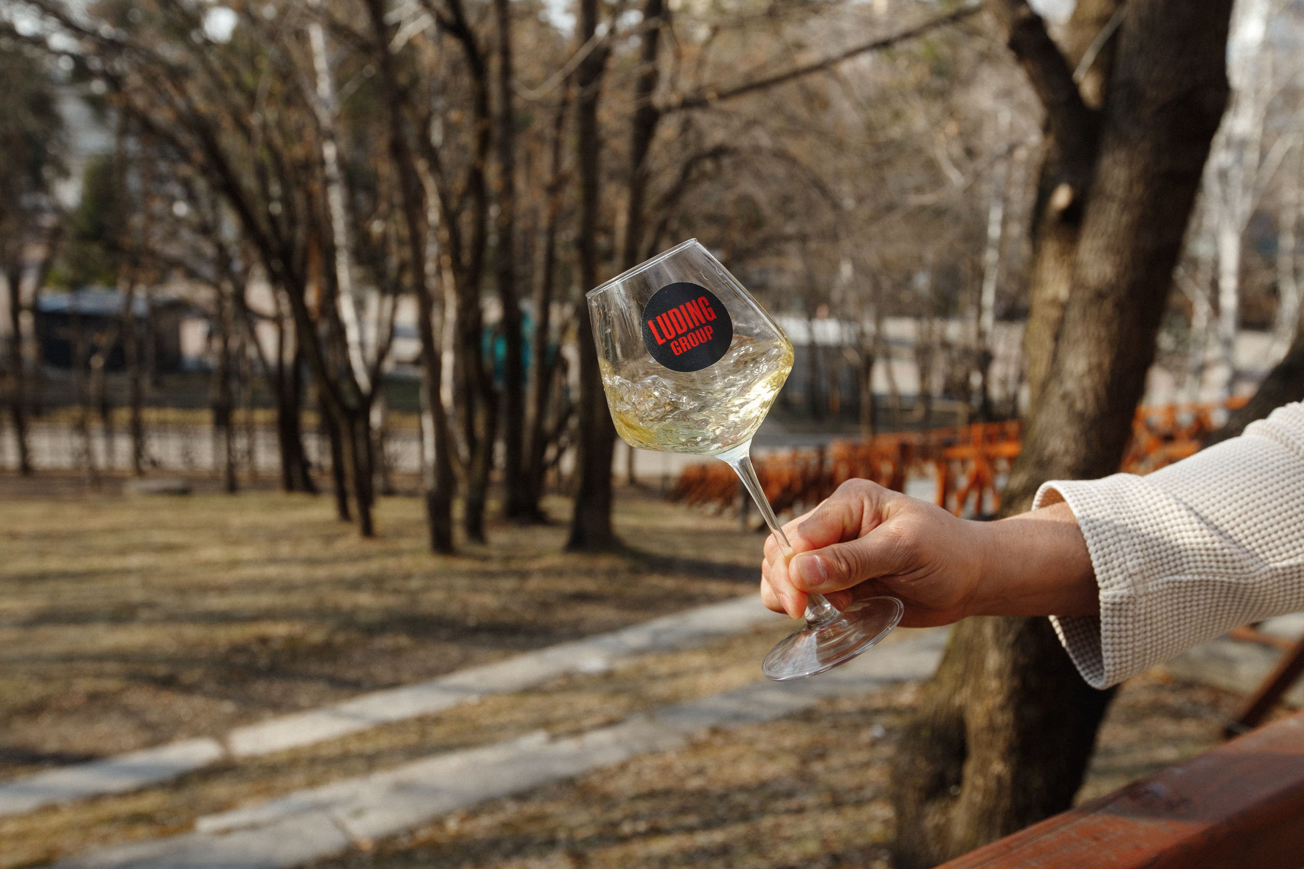 ФЕСТИВАЛЬ ИГРИСТЫХ ВИН. СВОИ. ФОТООТЧЕТЫ-СОБЫТИЯ-МЕСТА