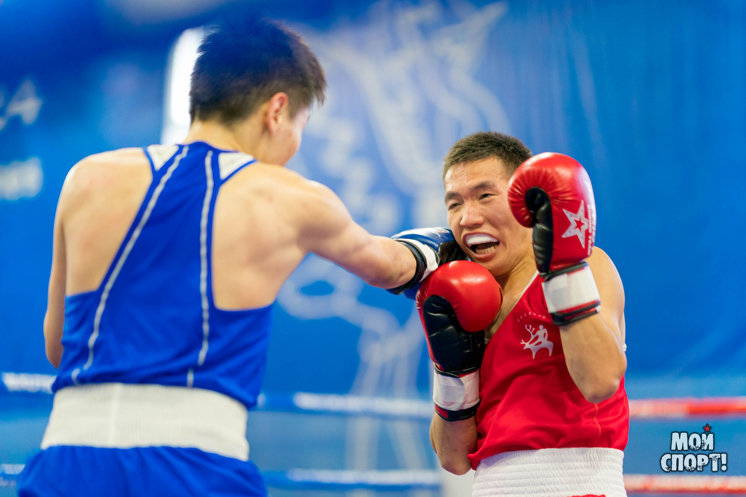 Всероссийский турнир по боксу памяти А. И. Федотова. Студия «Мой Спорт!» — все о спорте в Якутии