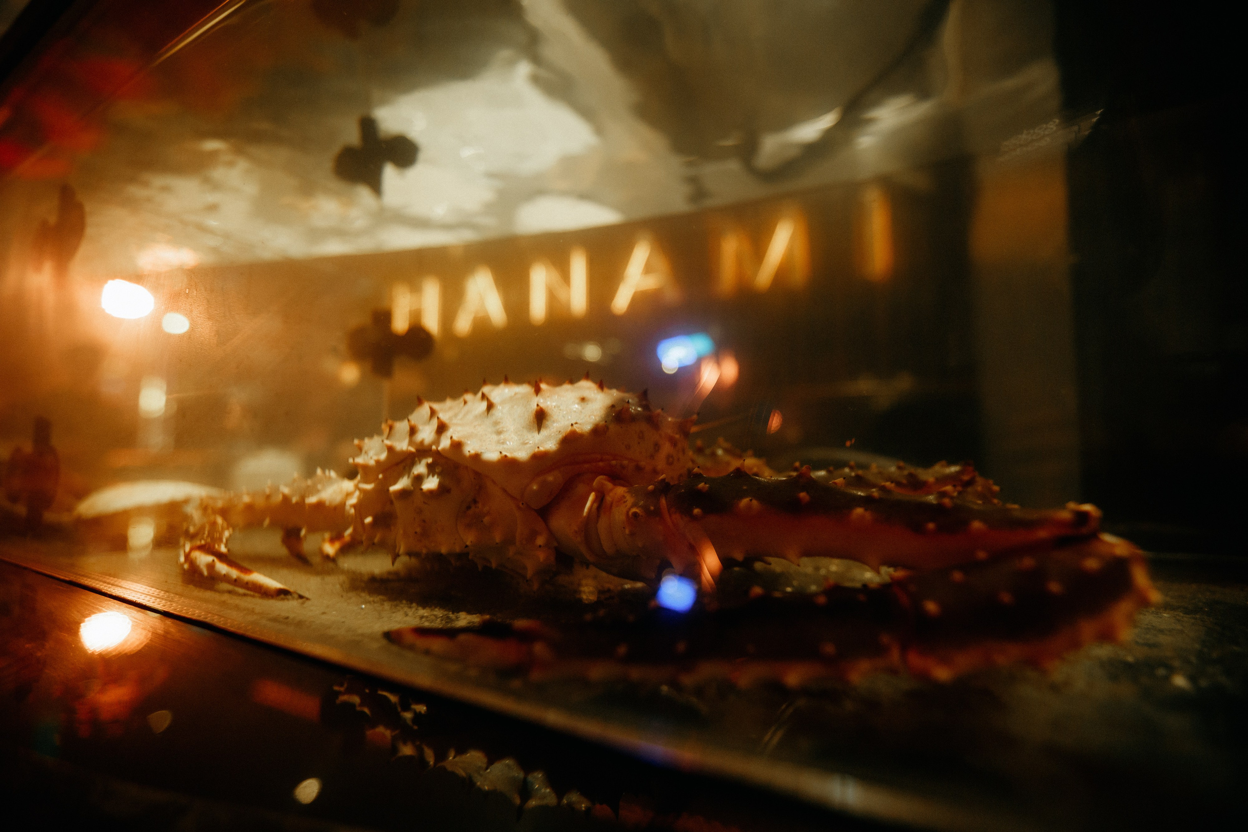 HANAMI — МЕМУАРЫ ГЕЙШИ. СВОИ. ФОТООТЧЕТЫ-СОБЫТИЯ-МЕСТА