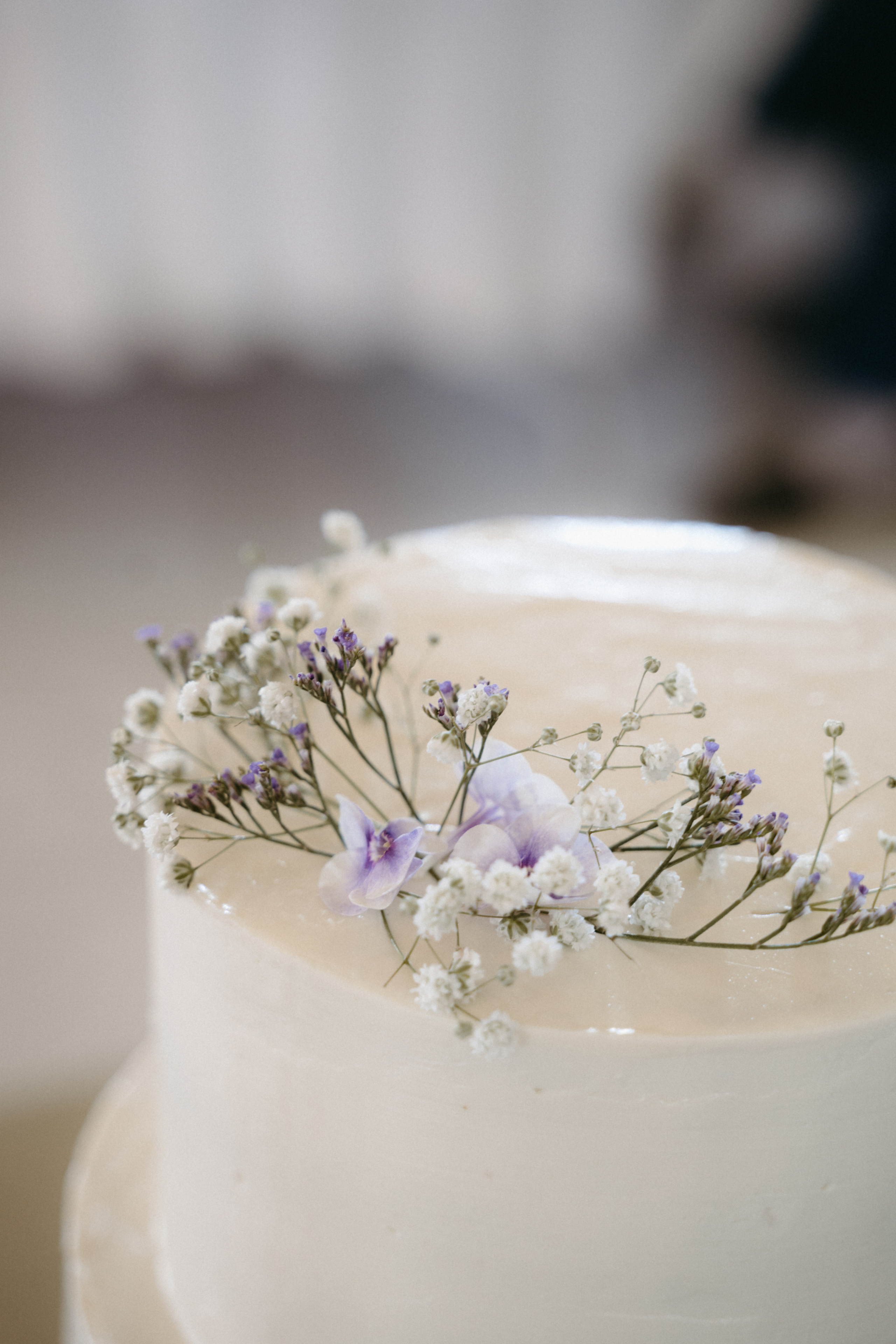 WD. Фотограф Наталья Шелест