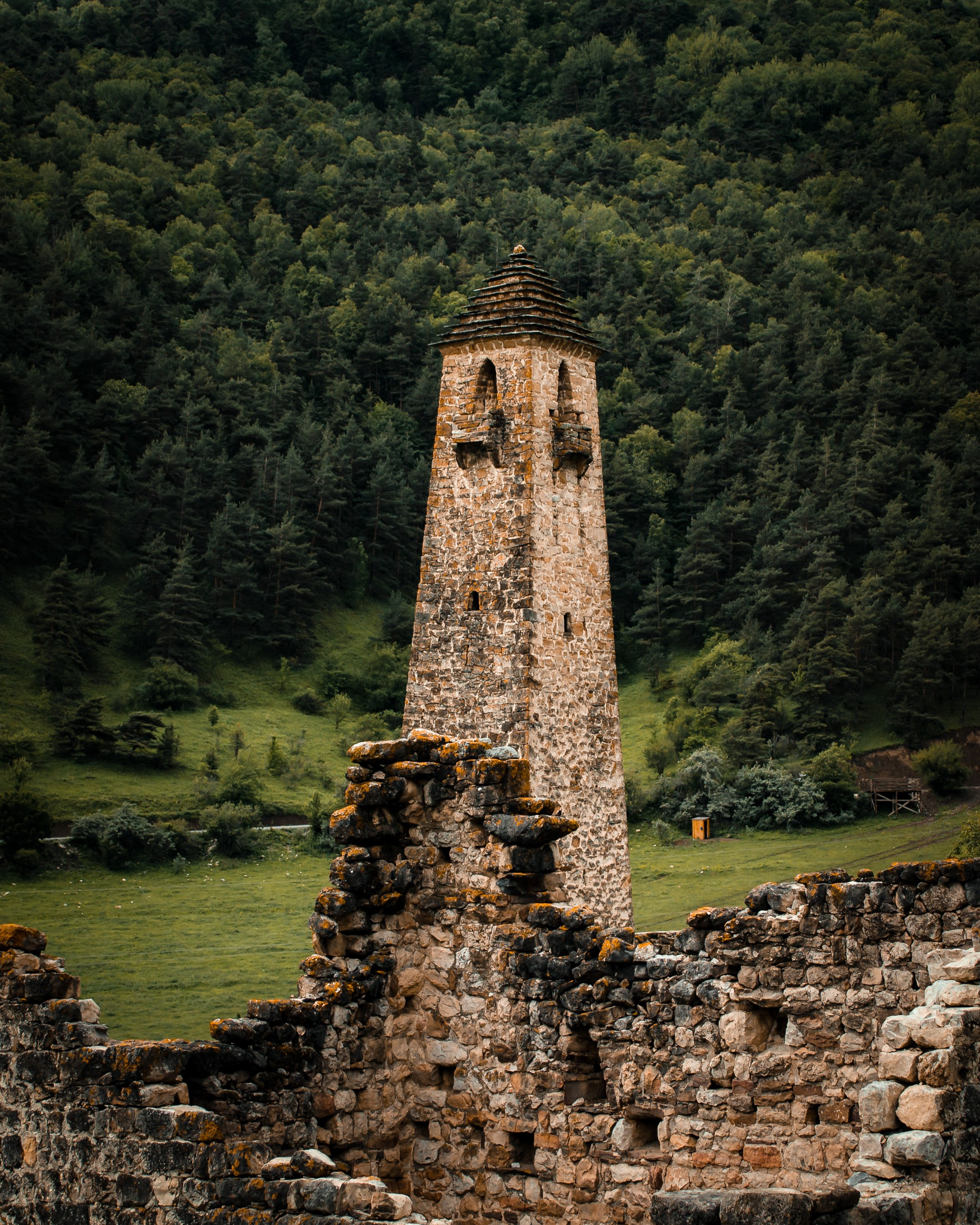 СV & ARTIST STATEMENT