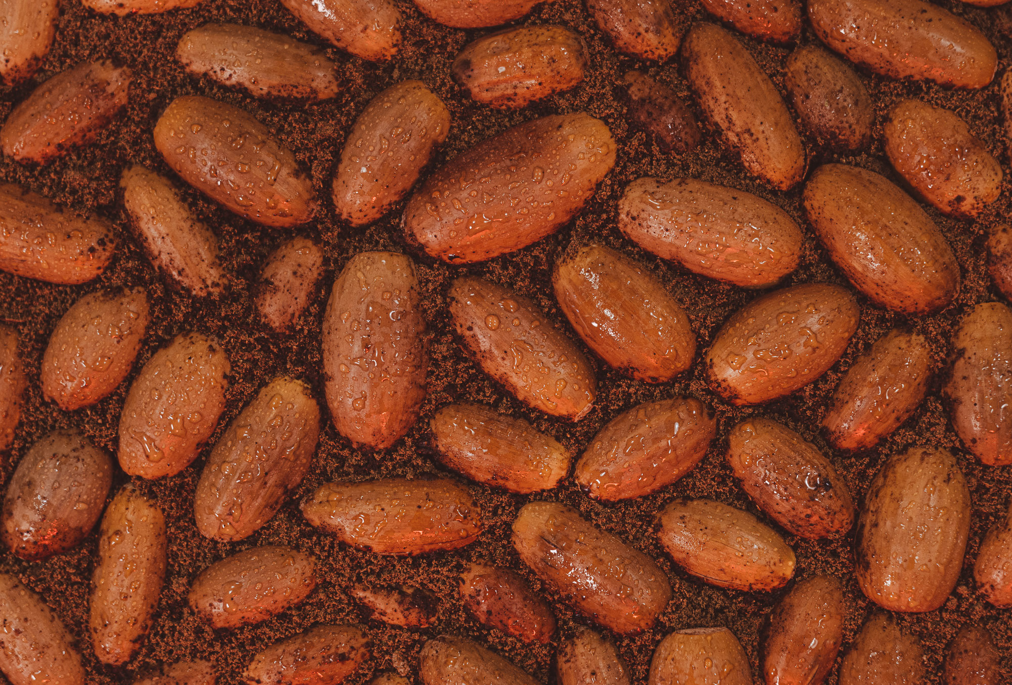 Вид сверху. Художественная фотография. Желуди словно мостовая вложенные в кофейный помол.