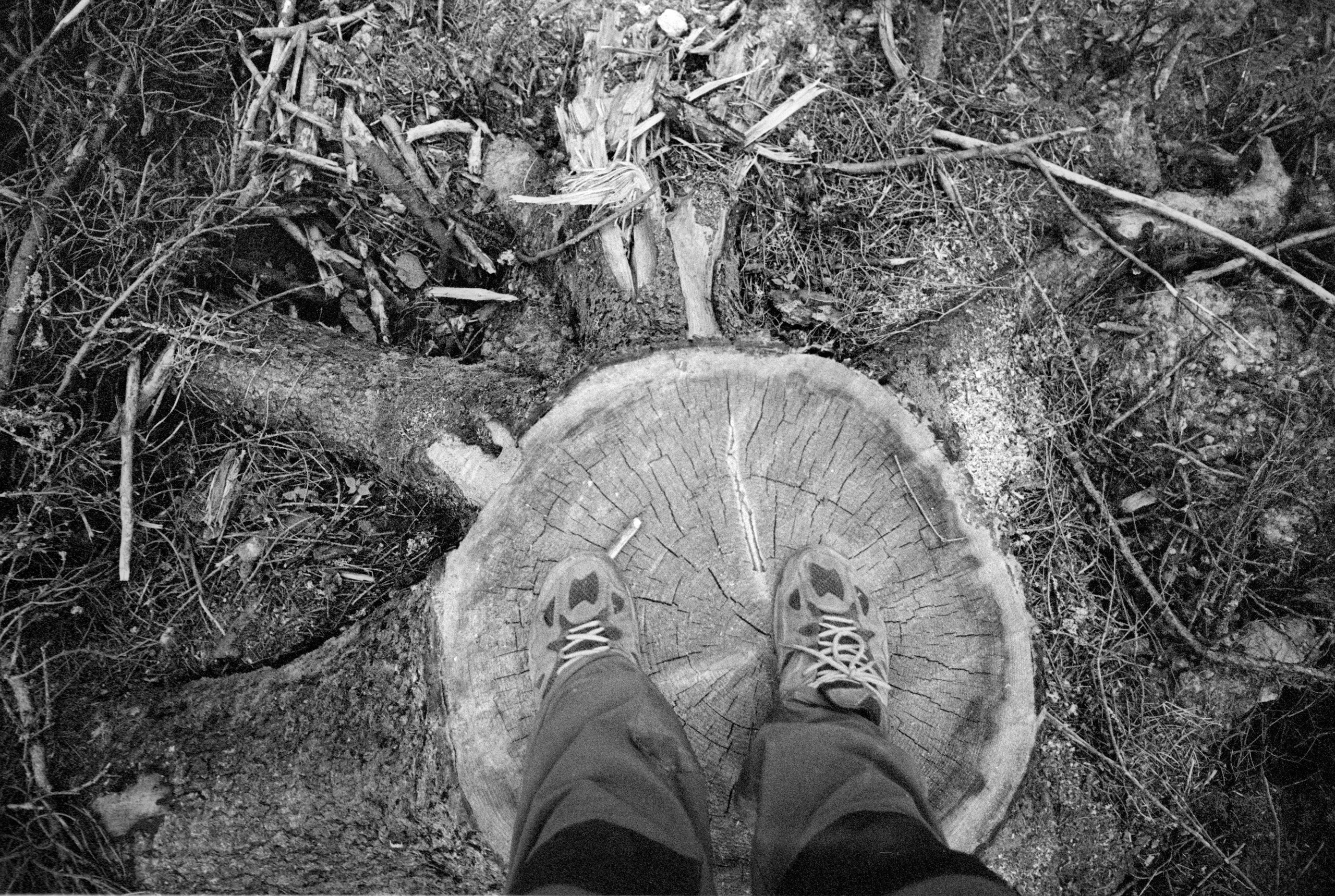 О судьбе лесов и надежде. Рекламный и коммерческий фотограф | Георгий Романов