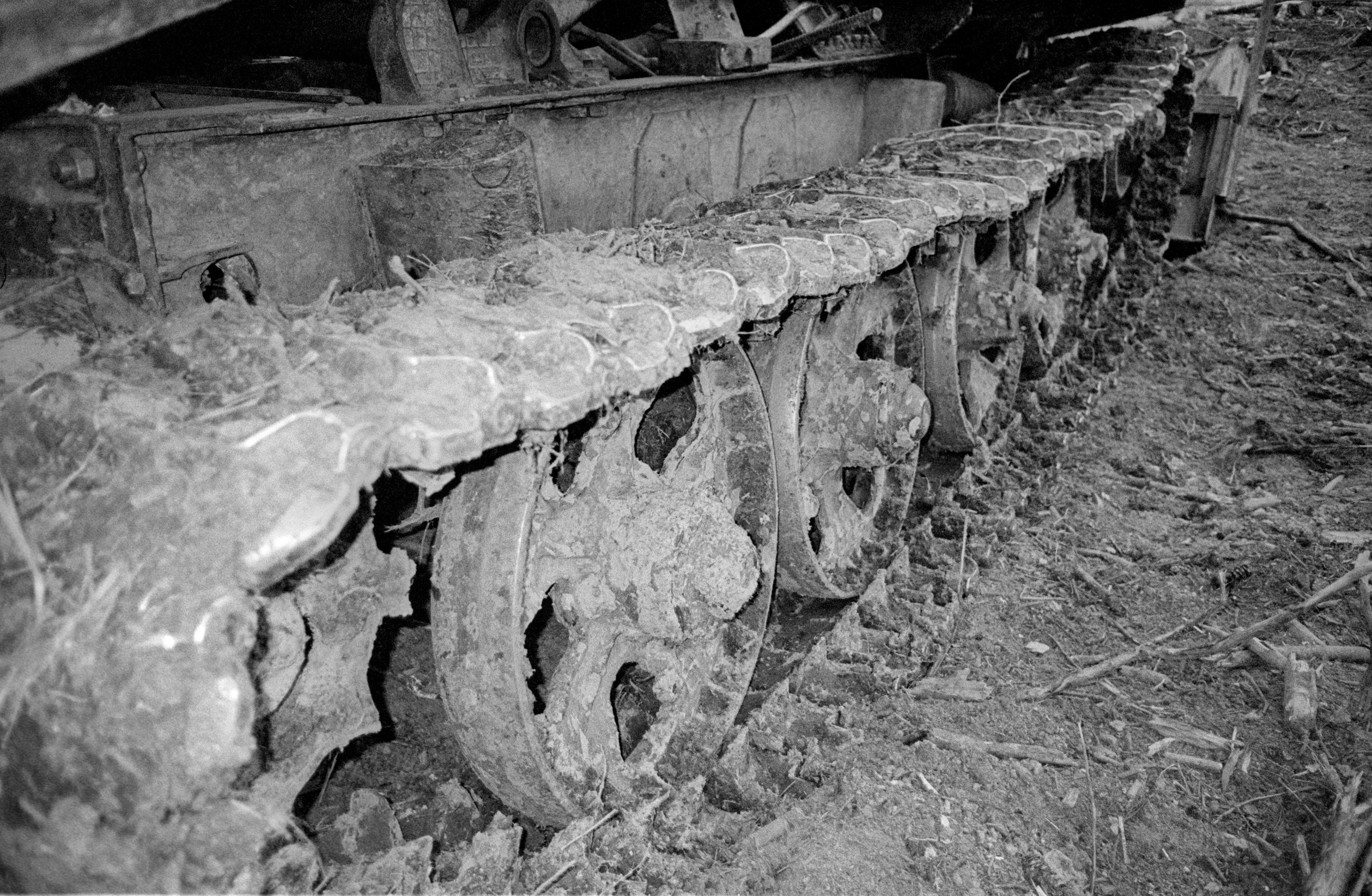 О судьбе лесов и надежде. Рекламный и коммерческий фотограф | Георгий Романов