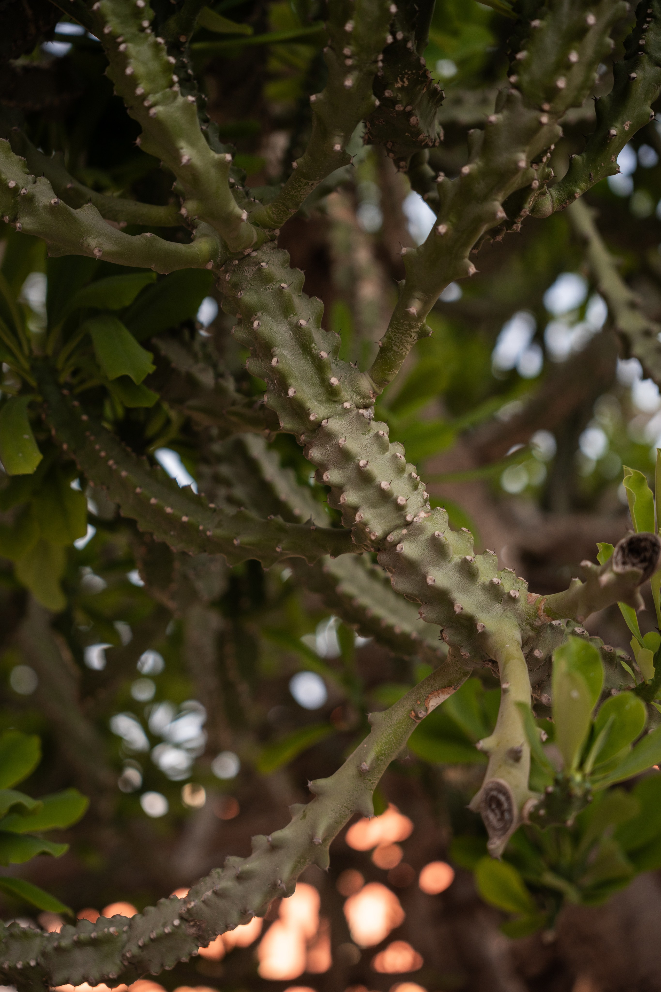 Марокко. Илья Варин — Фотограф Москва, Тверь