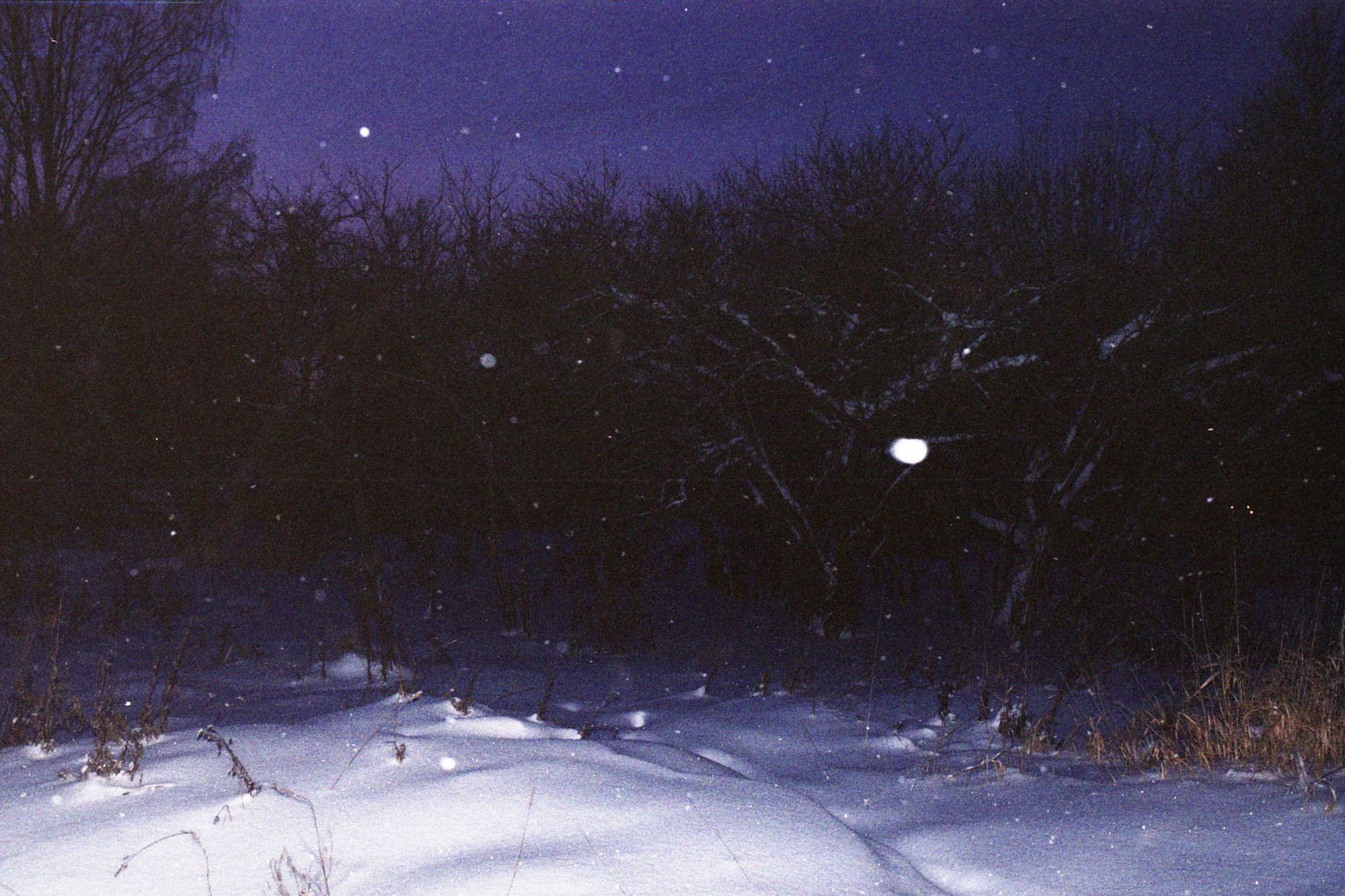 Холодный праздник. Фотосессии в г. Пушкин Саша Бауэр | Фотопроекты