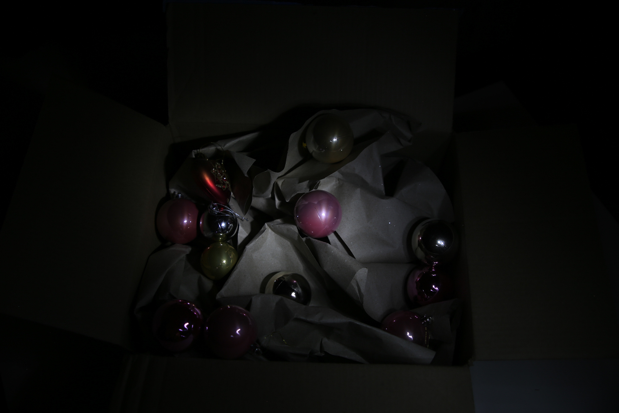 Холодный праздник. Фотосессии в г. Пушкин Саша Бауэр | Фотопроекты