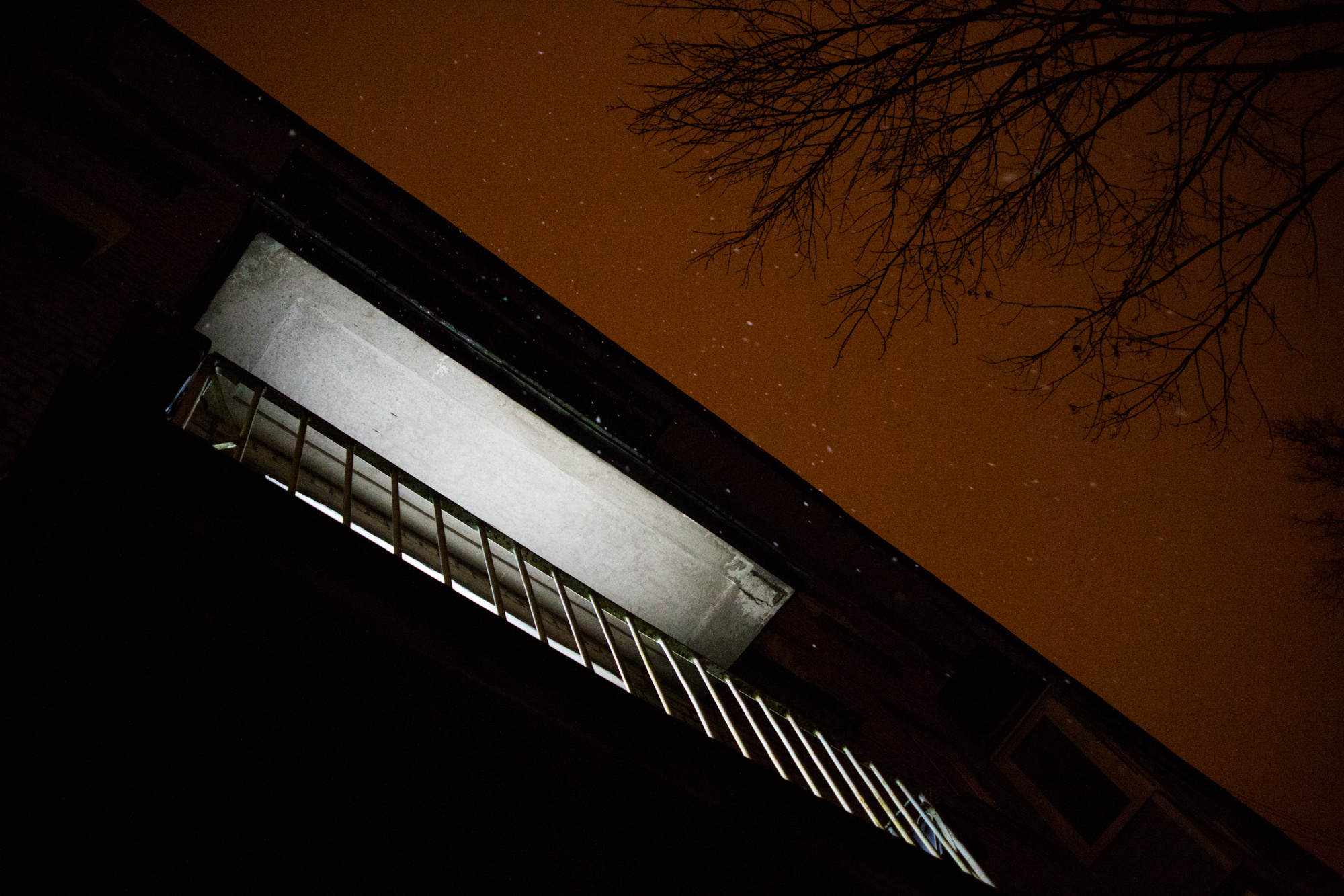 Холодный праздник. Фотосессии в г. Пушкин Саша Бауэр | Фотопроекты