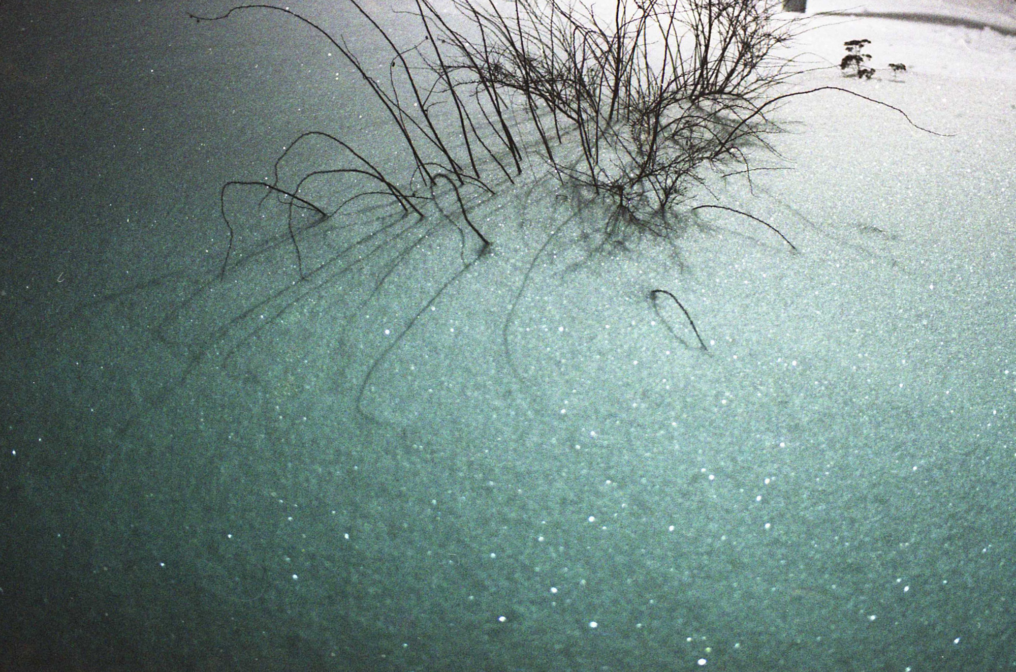 Холодный праздник. Фотосессии в г. Пушкин Саша Бауэр | Фотопроекты