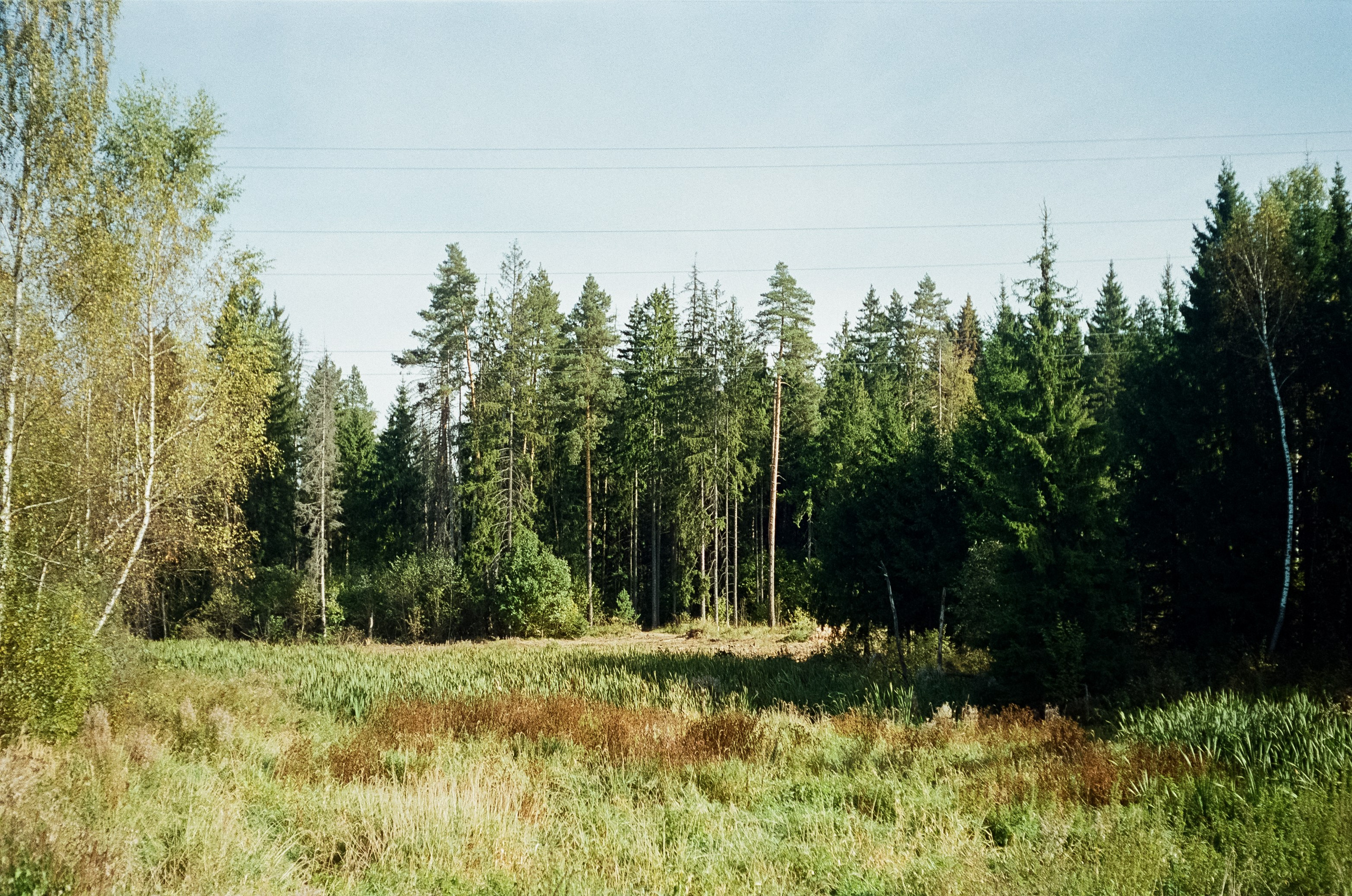 Voigtlander Vitessa / Color-Skopar 50 mm f/3.5 / Kodak Gold 100 (просрочка)