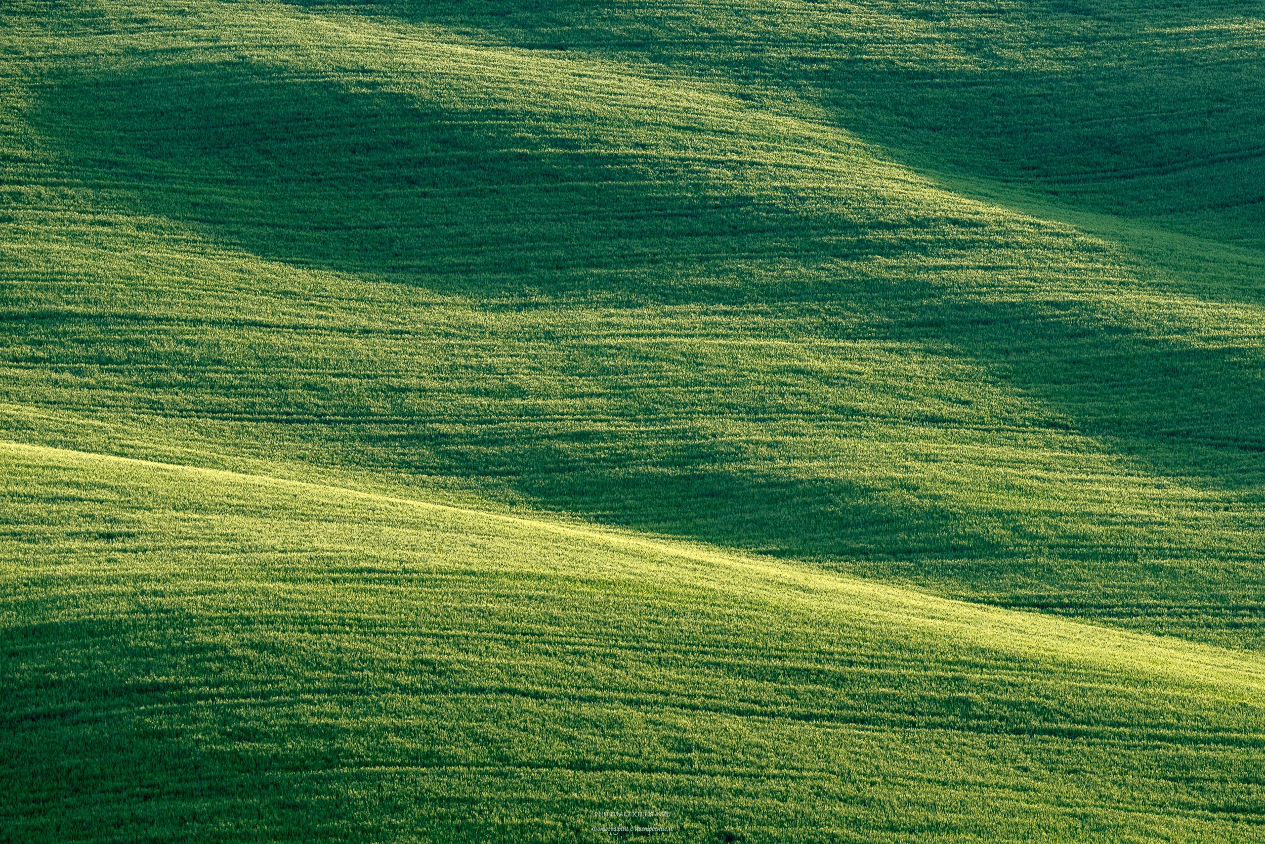 Долина Крете Сенези (Crete Senesi). Авторские стильные фотокартины