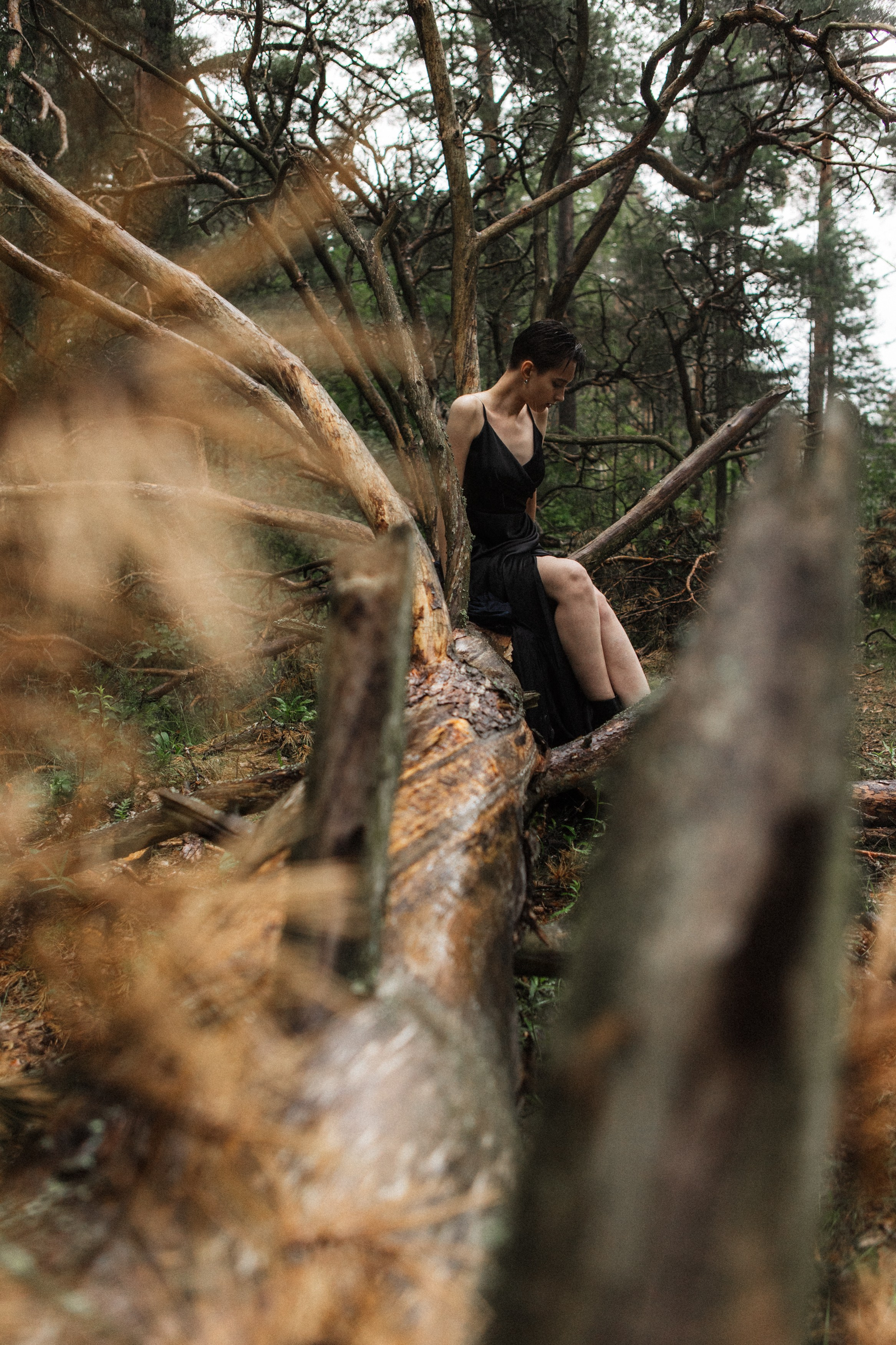 Виктория-Антуанетта. Фотограф Москва и Московская область