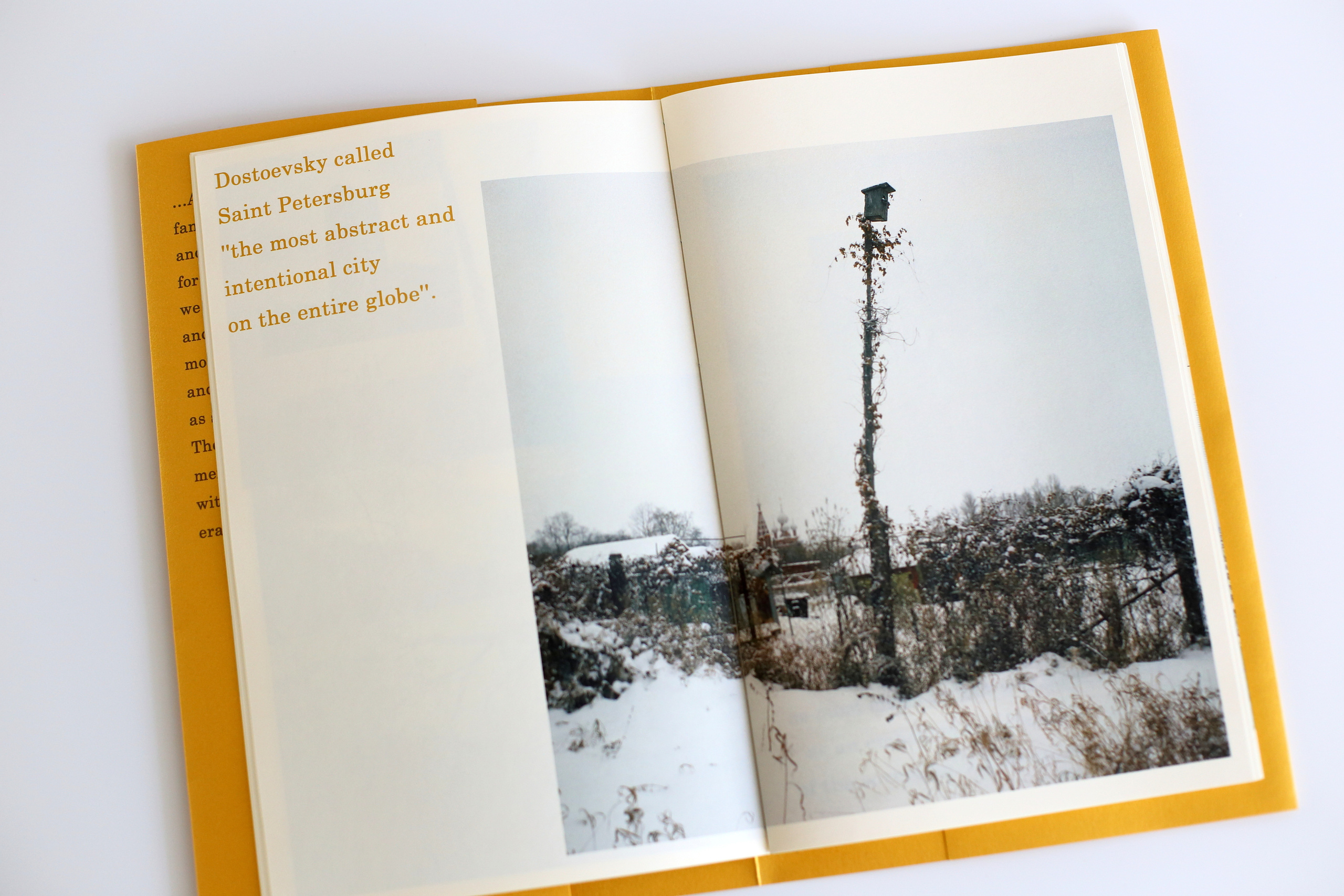 Road to Petergof. Ekaterina Vasilyeva photographer