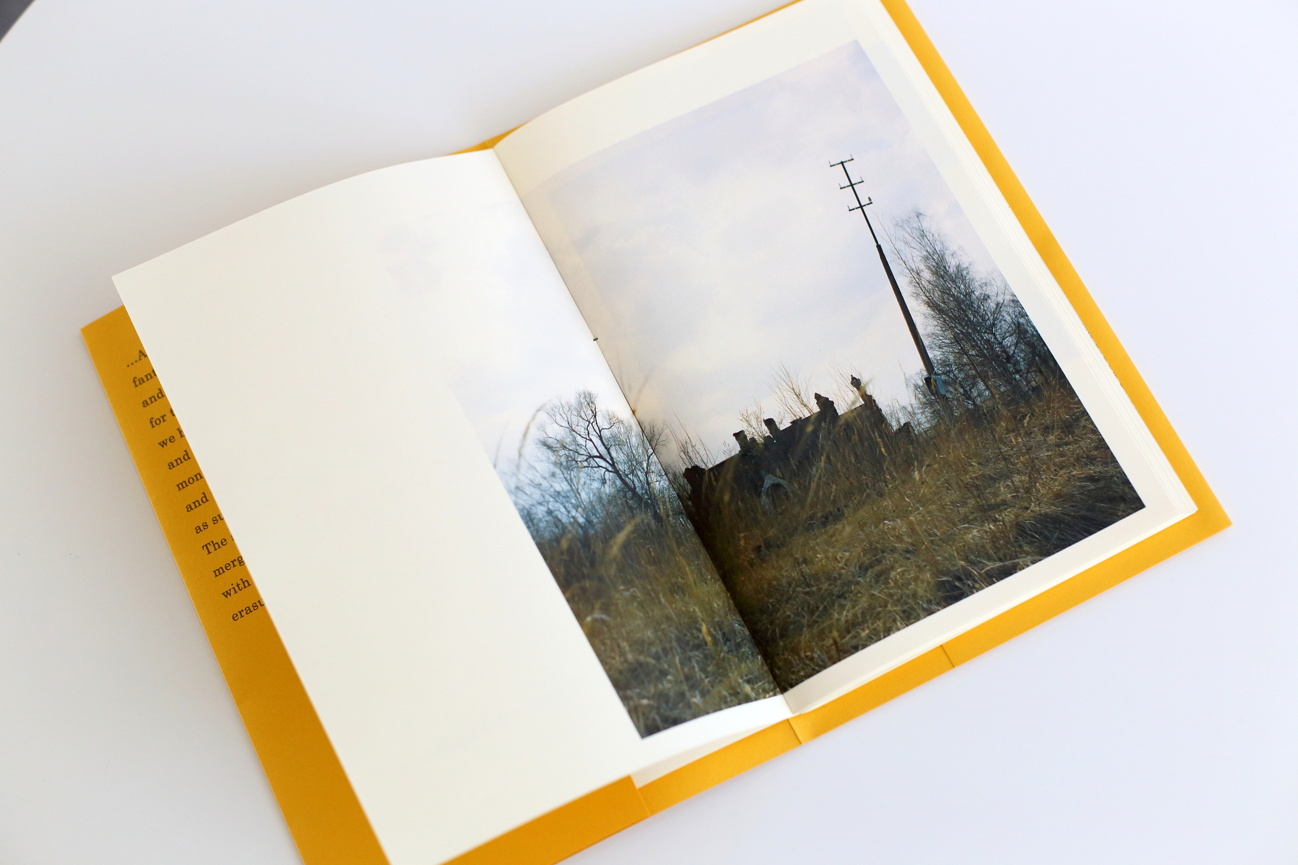 Road to Petergof. Ekaterina Vasilyeva photographer