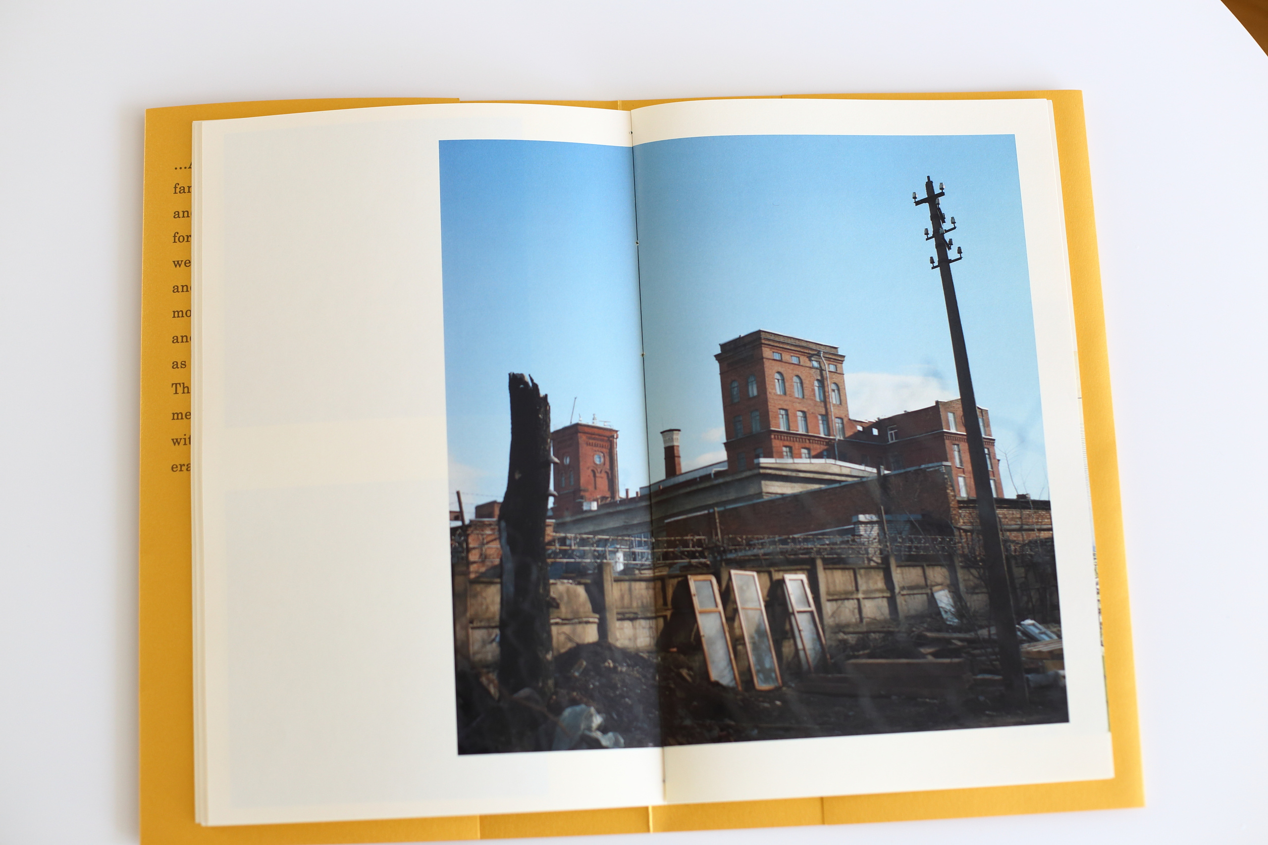 Road to Petergof. Ekaterina Vasilyeva photographer