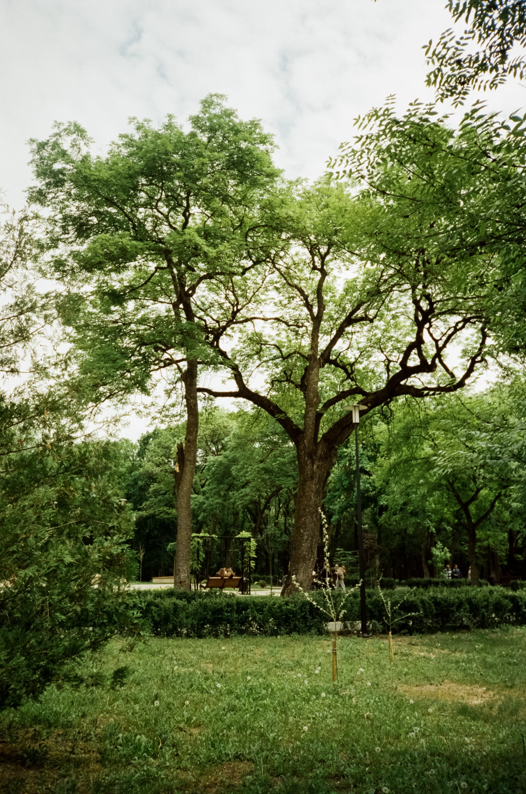 Прогулка в Курортном парке. Ессентуки. Фотограф-документалист Мария Осокина