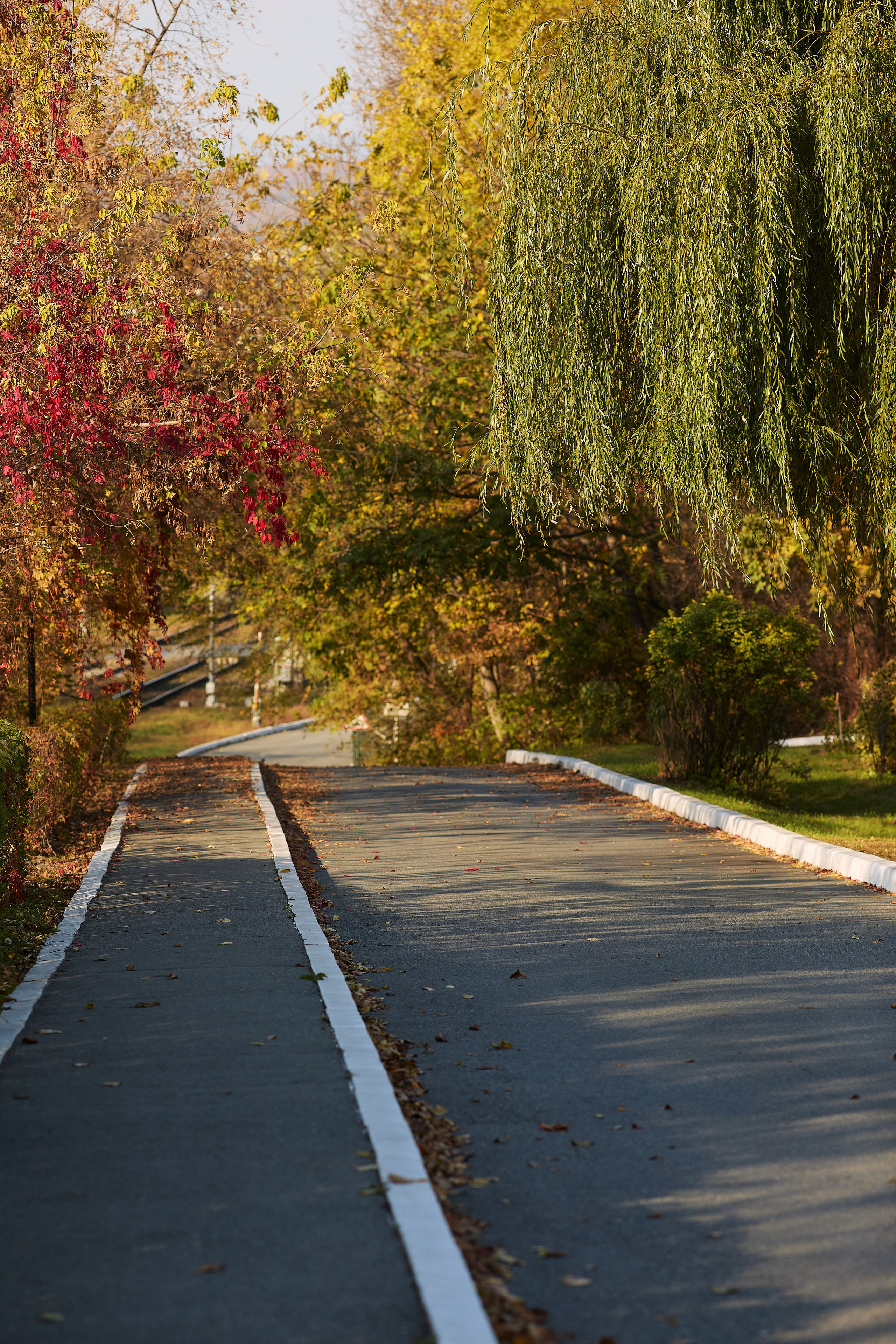 Идеальная локация для осенних фотосессий в Находке с аллеями и асфальтированными дорожками