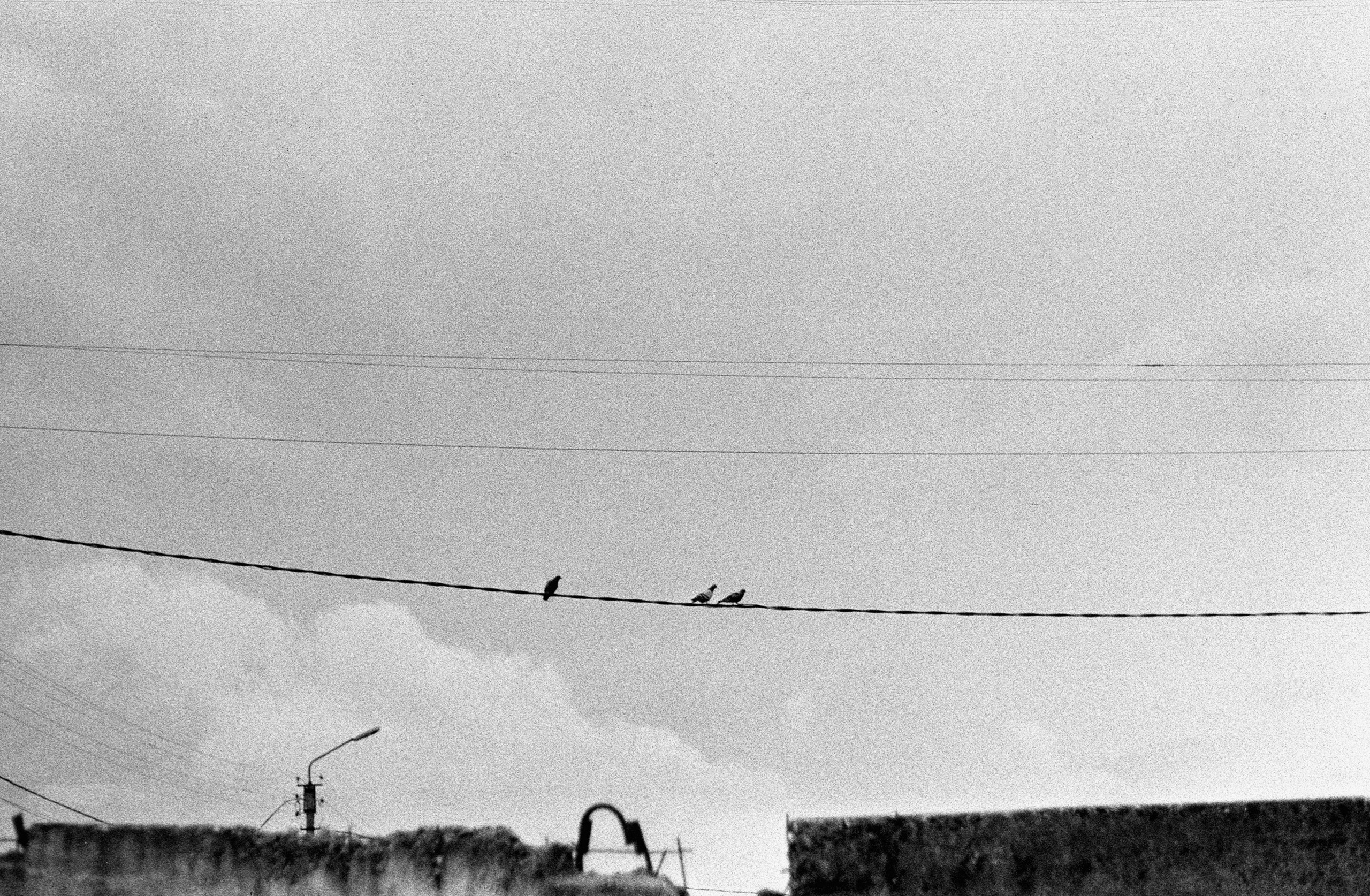 Что такое Тасма Т-25Л?. Пленочный фотограф на КМВ Мирнов Игорь