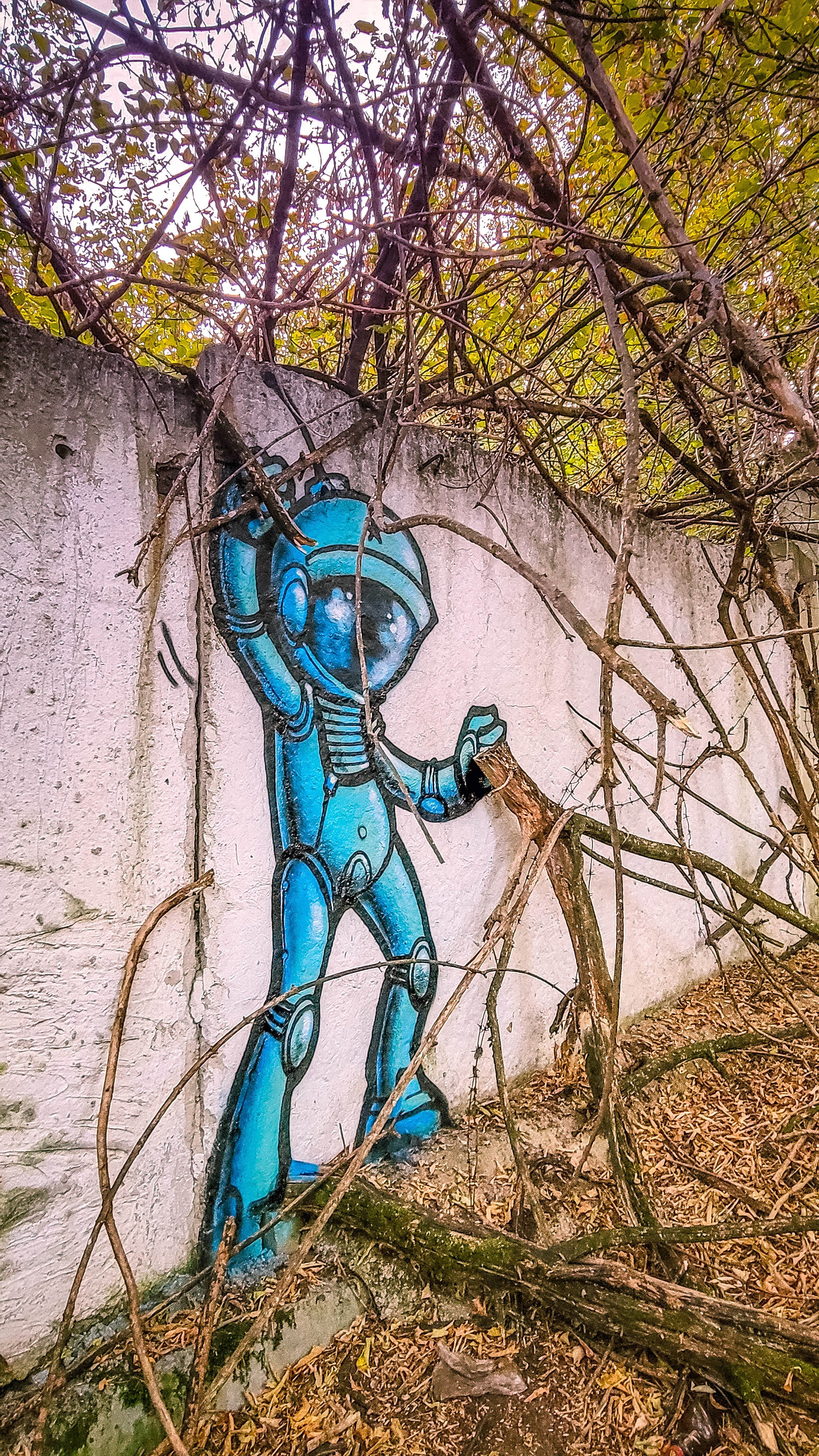 Graffiti. Alexander Stan Shimanov
