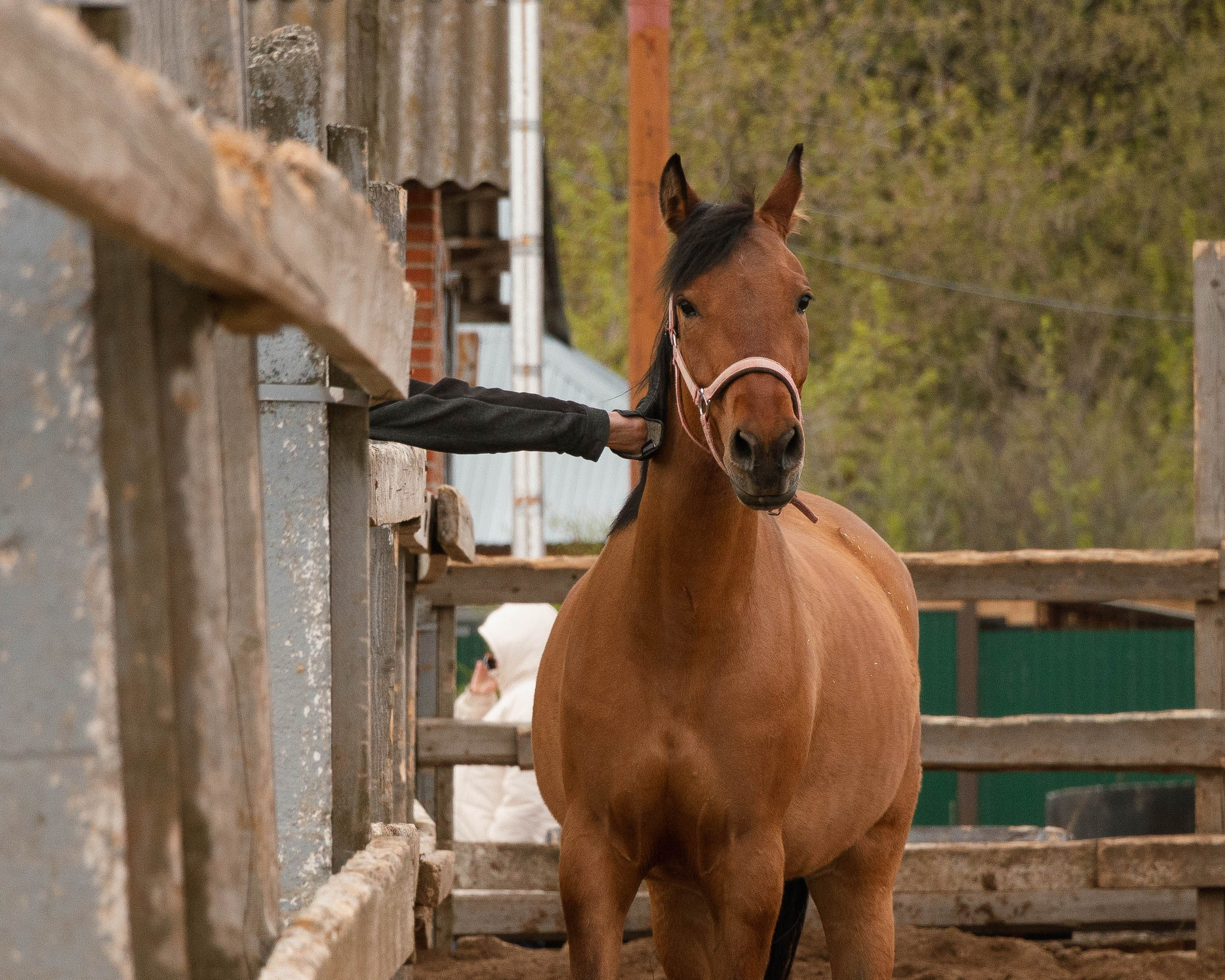Олег Романов. Мастер фото по спорту