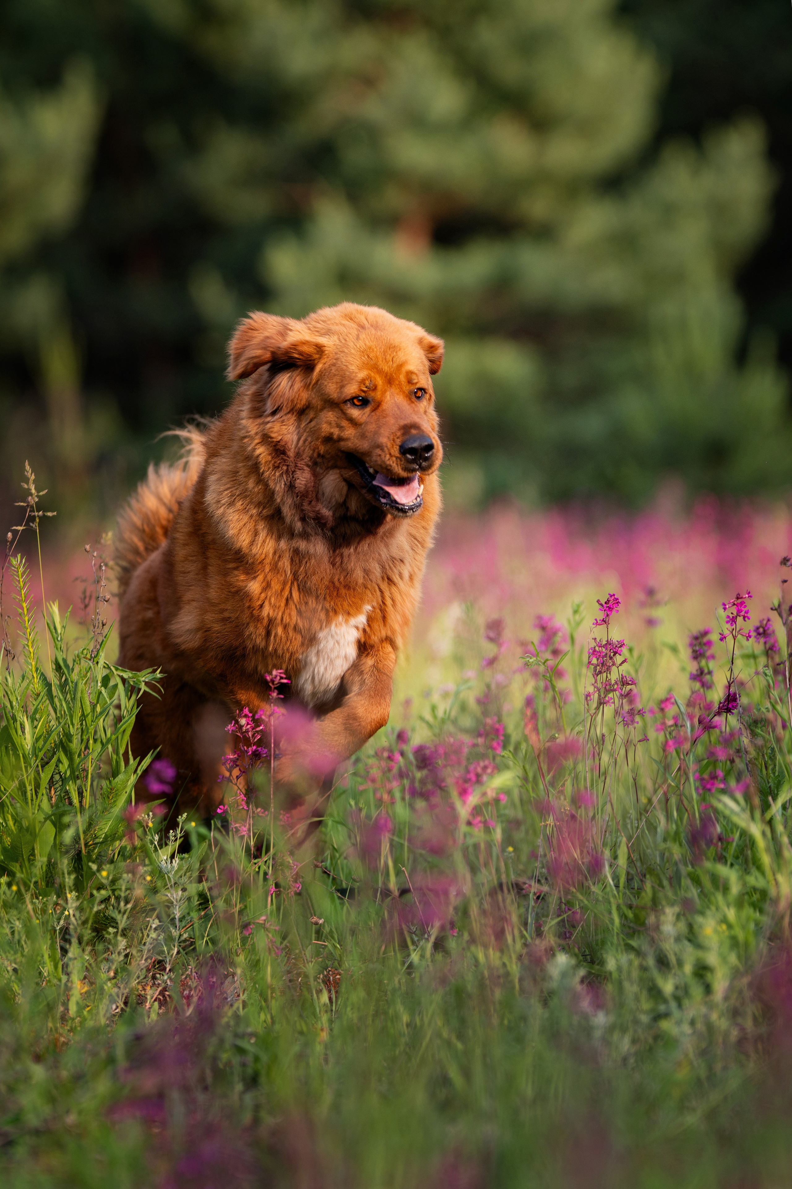 Мои Злата и Фред. -