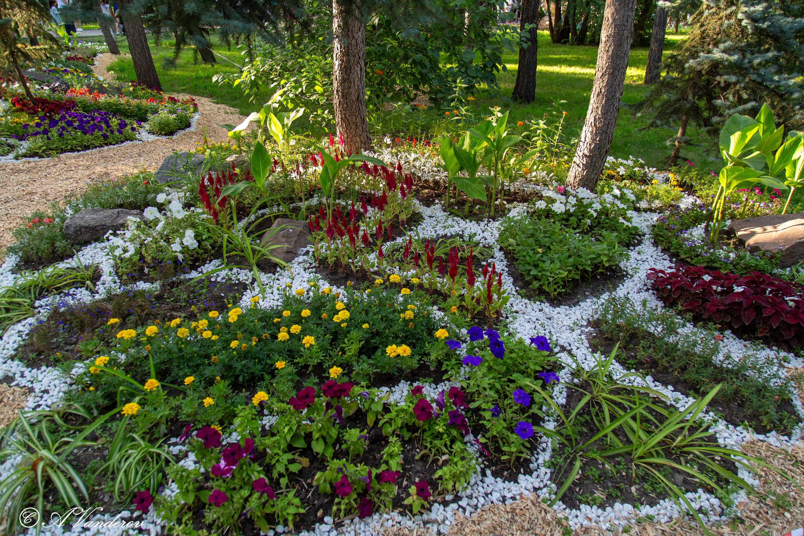 День города 03.08.2024. Фотограф Омск | Александр Вандеров