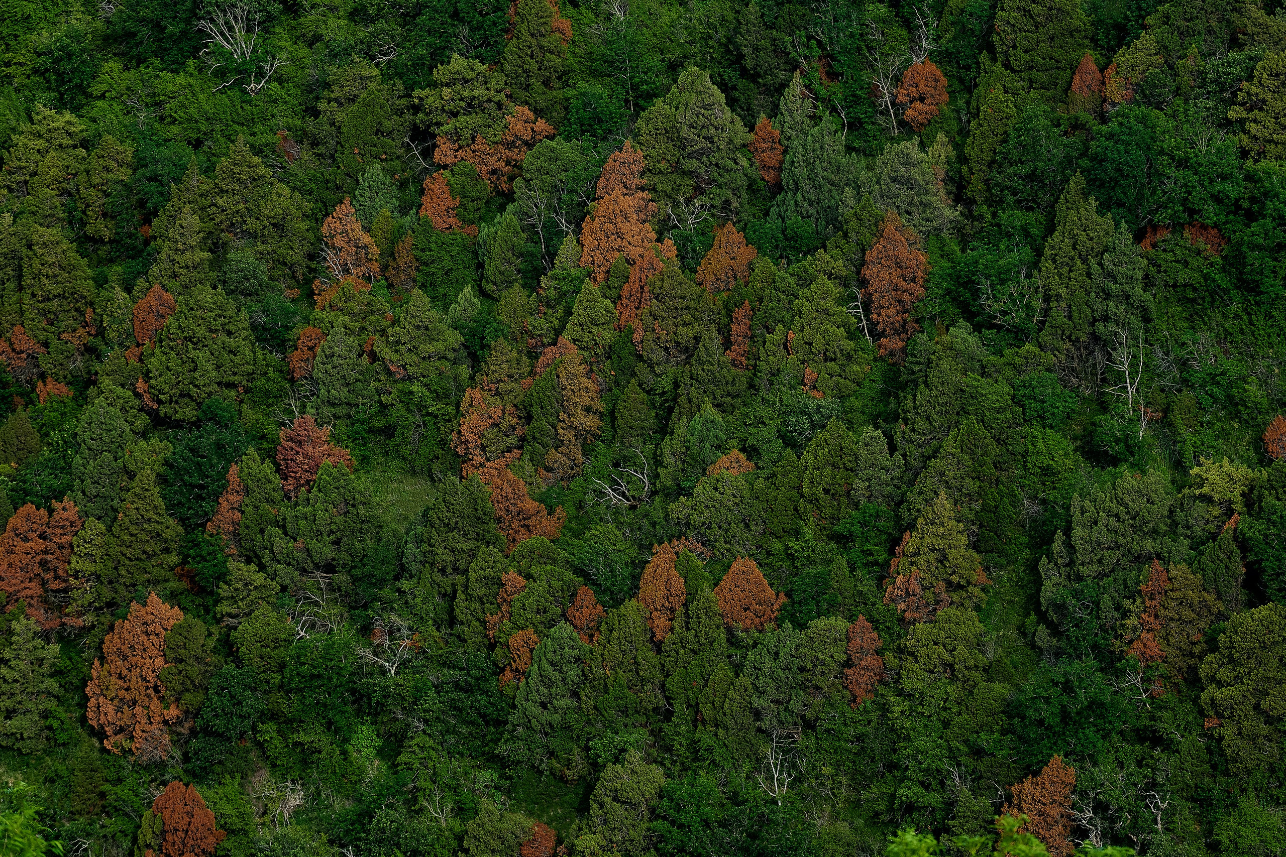 Пейзажи. Яркие фото на Чёрном море