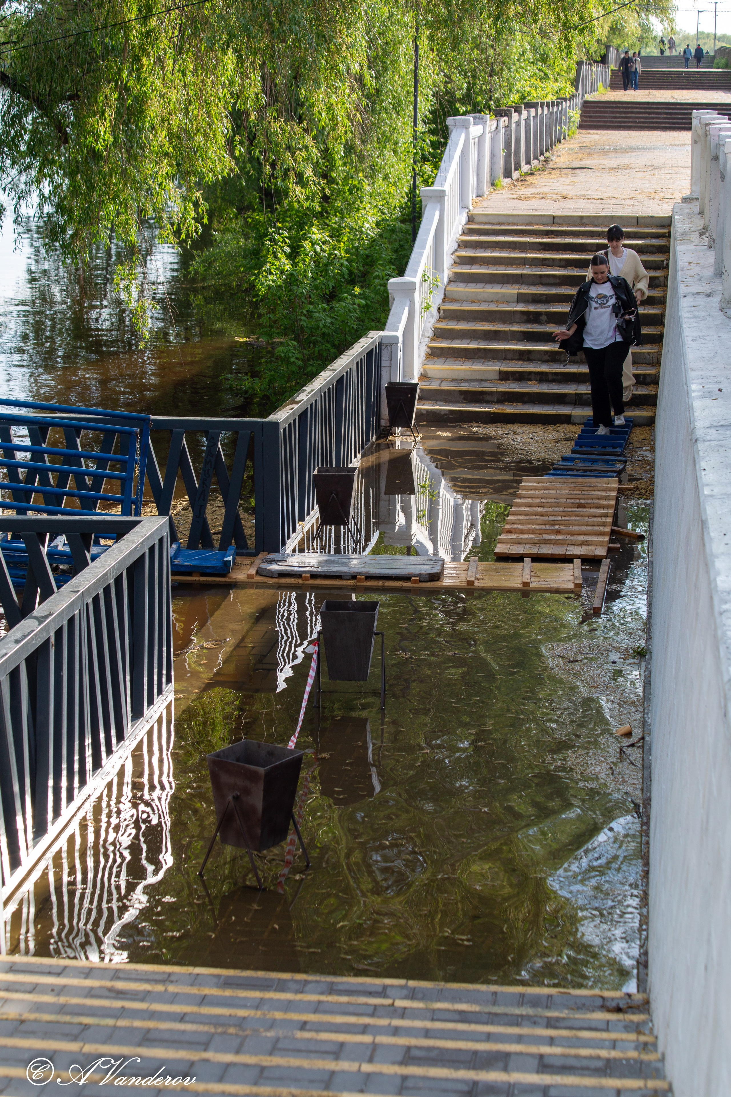 Прогулка 22.05.2024. Фотограф Омск | Александр Вандеров